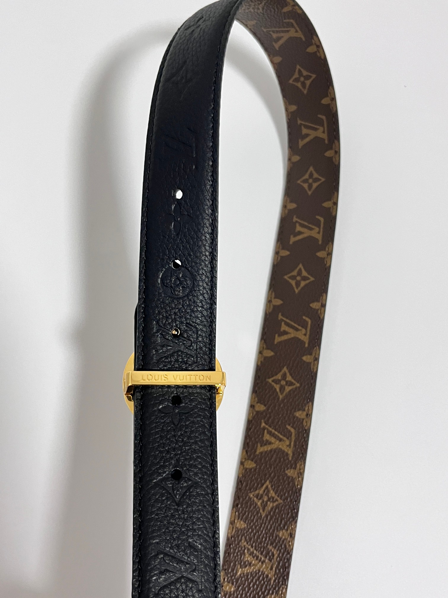 Louis Vuitton Female Basic Belt Canvas M-l
