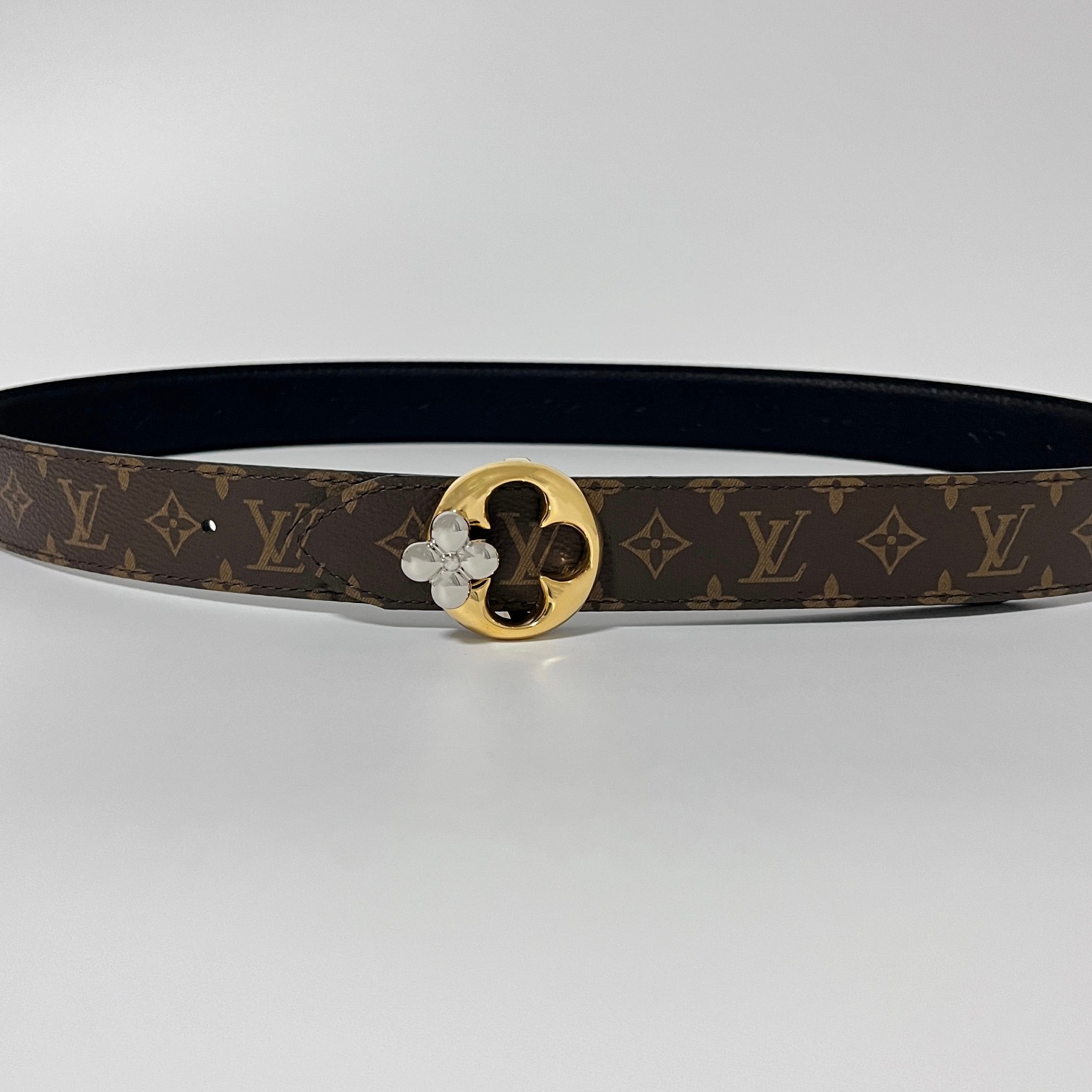 Louis Vuitton Female Basic Belt Canvas M-l