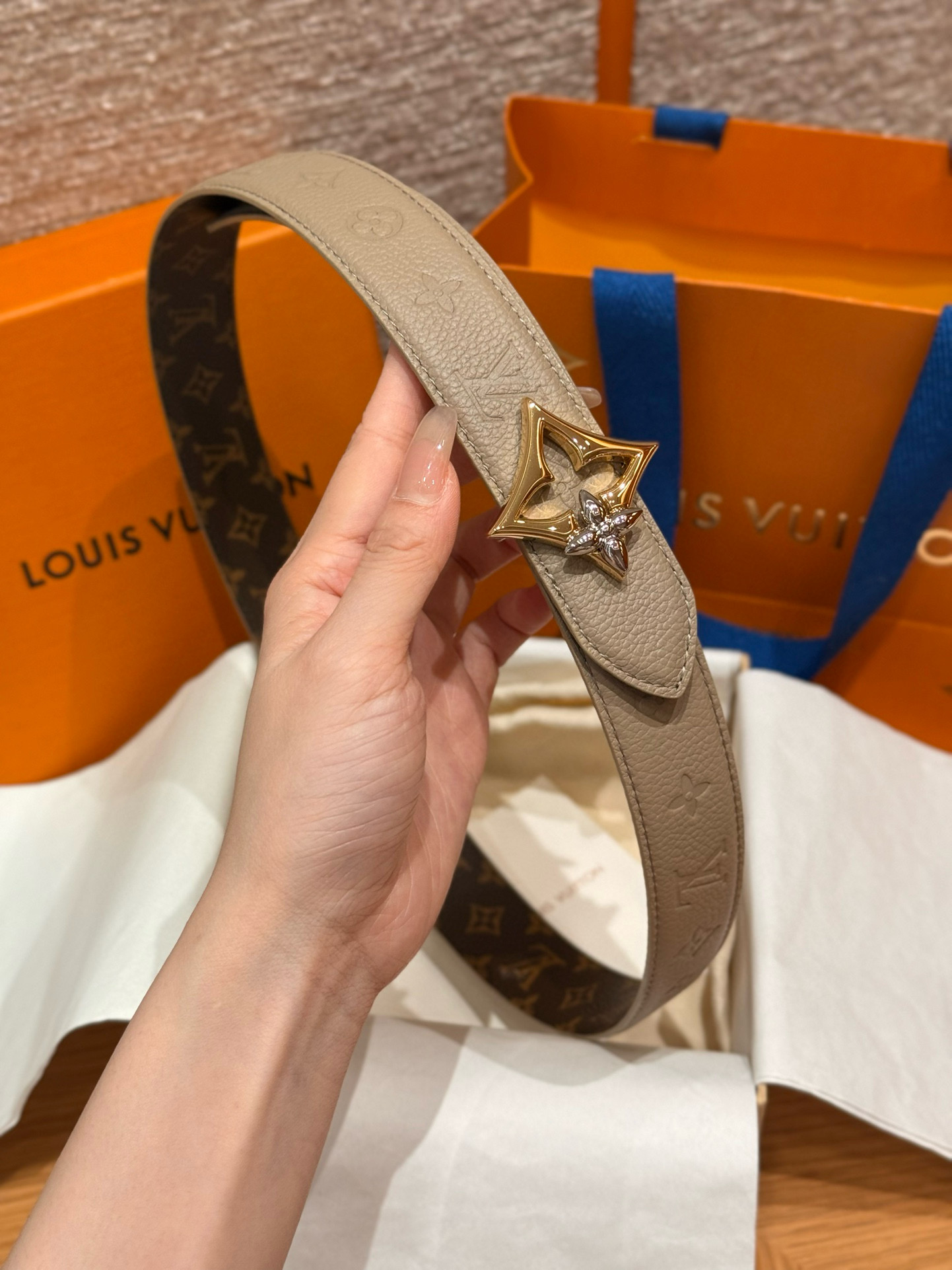 Louis Vuitton Female Basic Belt Canvas M
