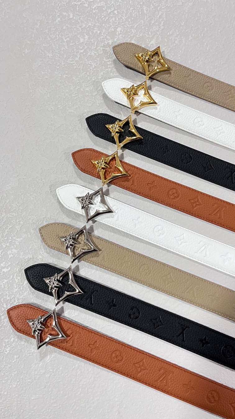 Louis Vuitton Female Basic Belt Canvas M-l