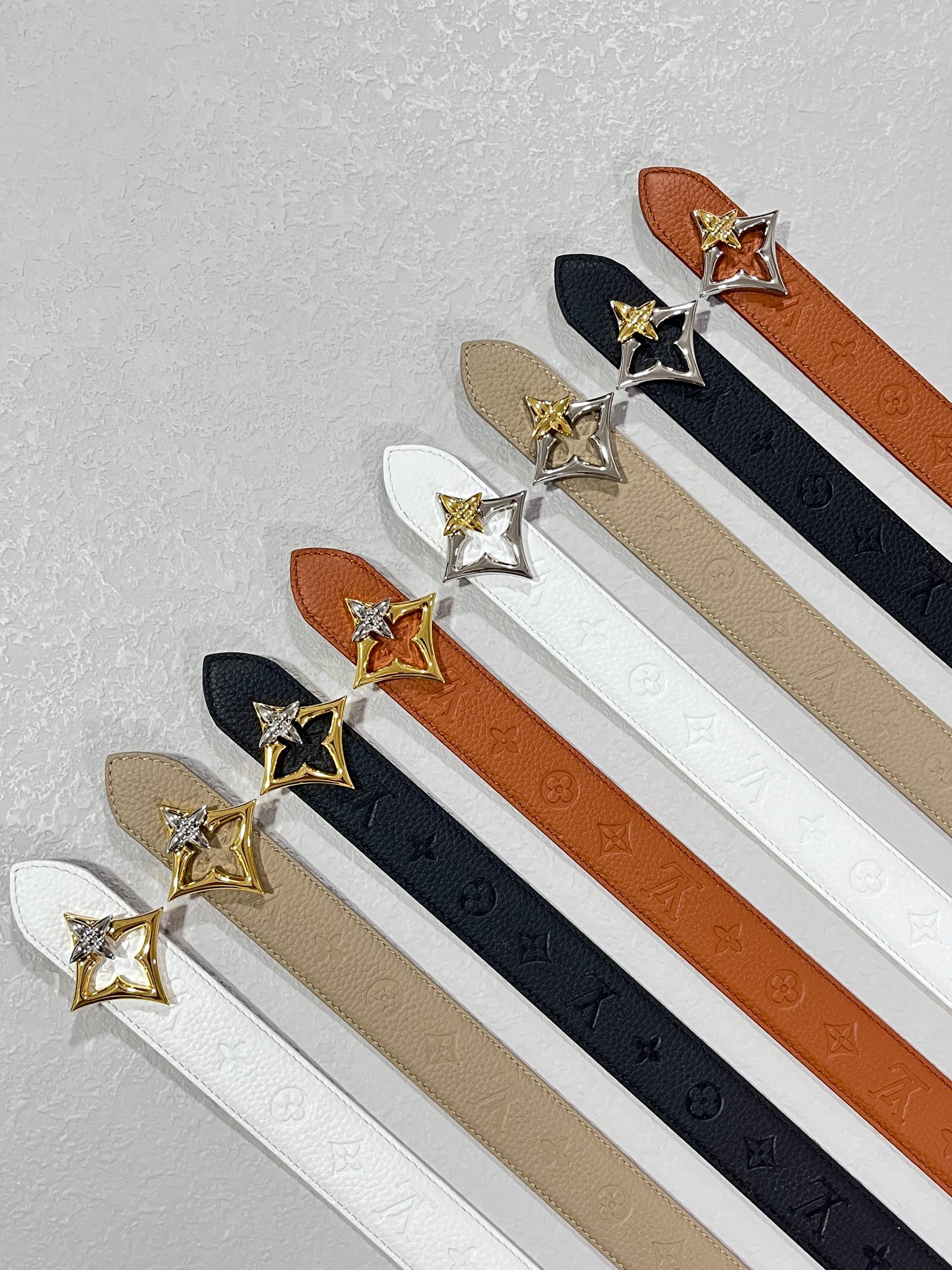 Louis Vuitton Female Basic Belt Canvas M-l