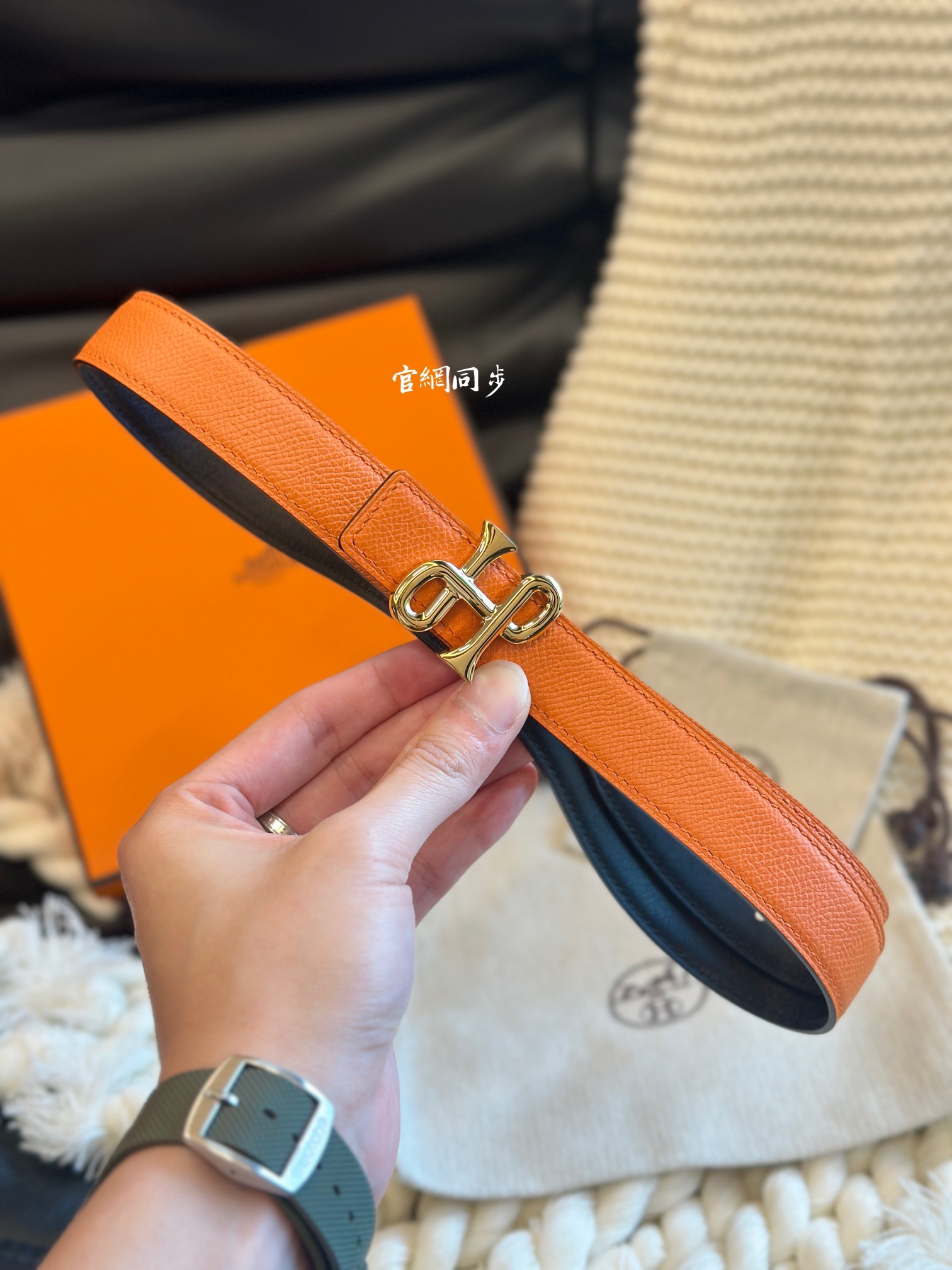 Female Basic Belt 24mm-s-l