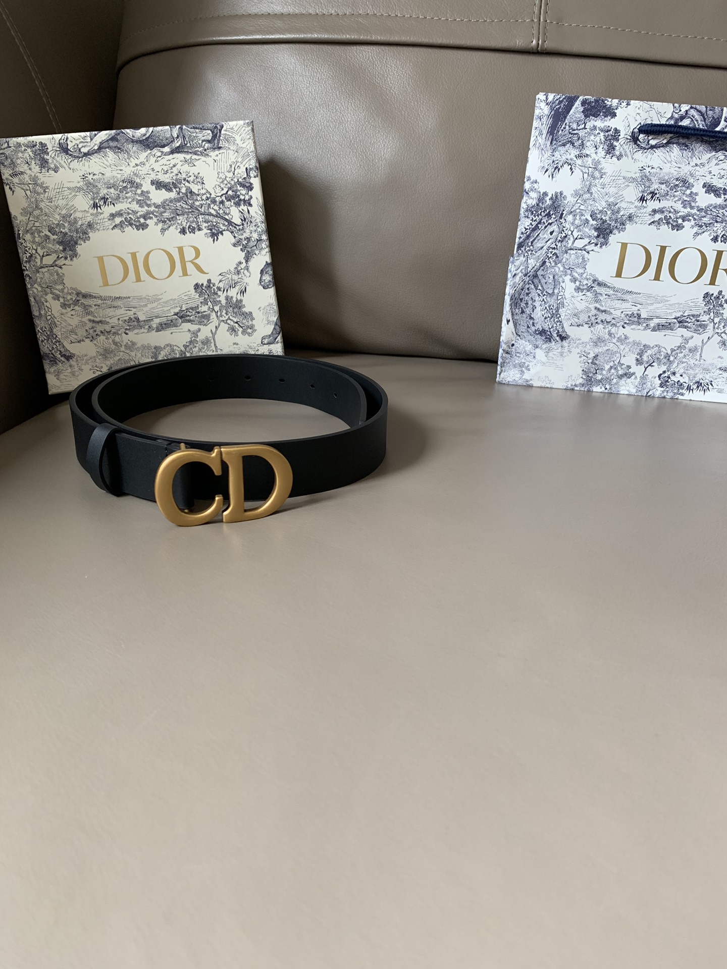 Dior Female Basic Belt Cow Leather Black S-l
