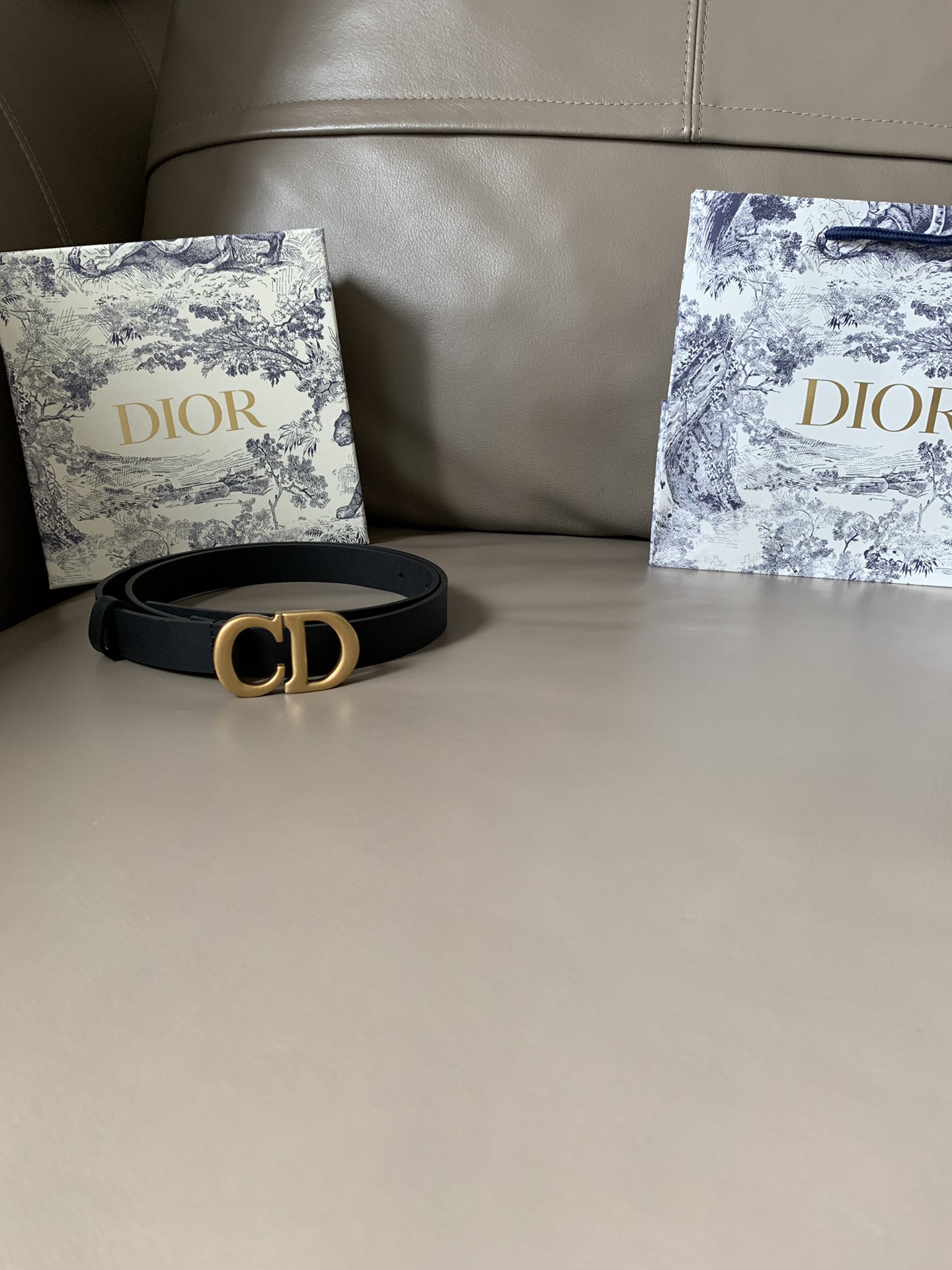 Dior Female Basic Belt Cow Leather Black S-l