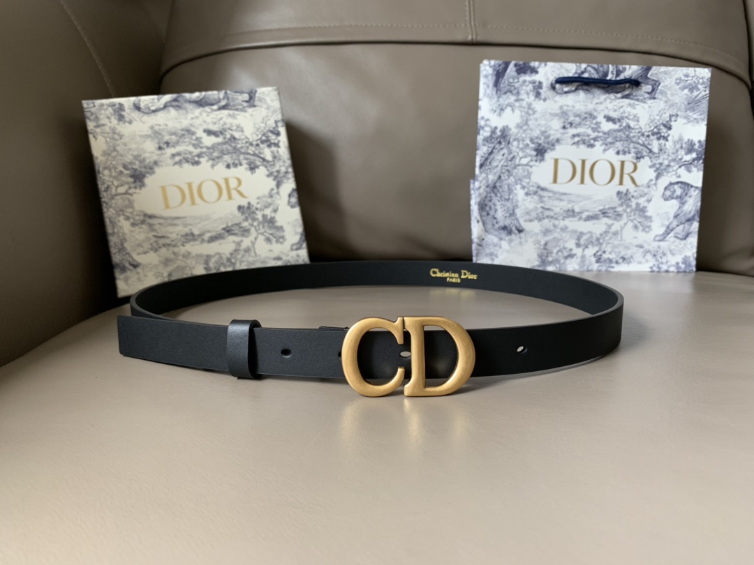 Dior Female Basic Belt Cow Leather Black S-l