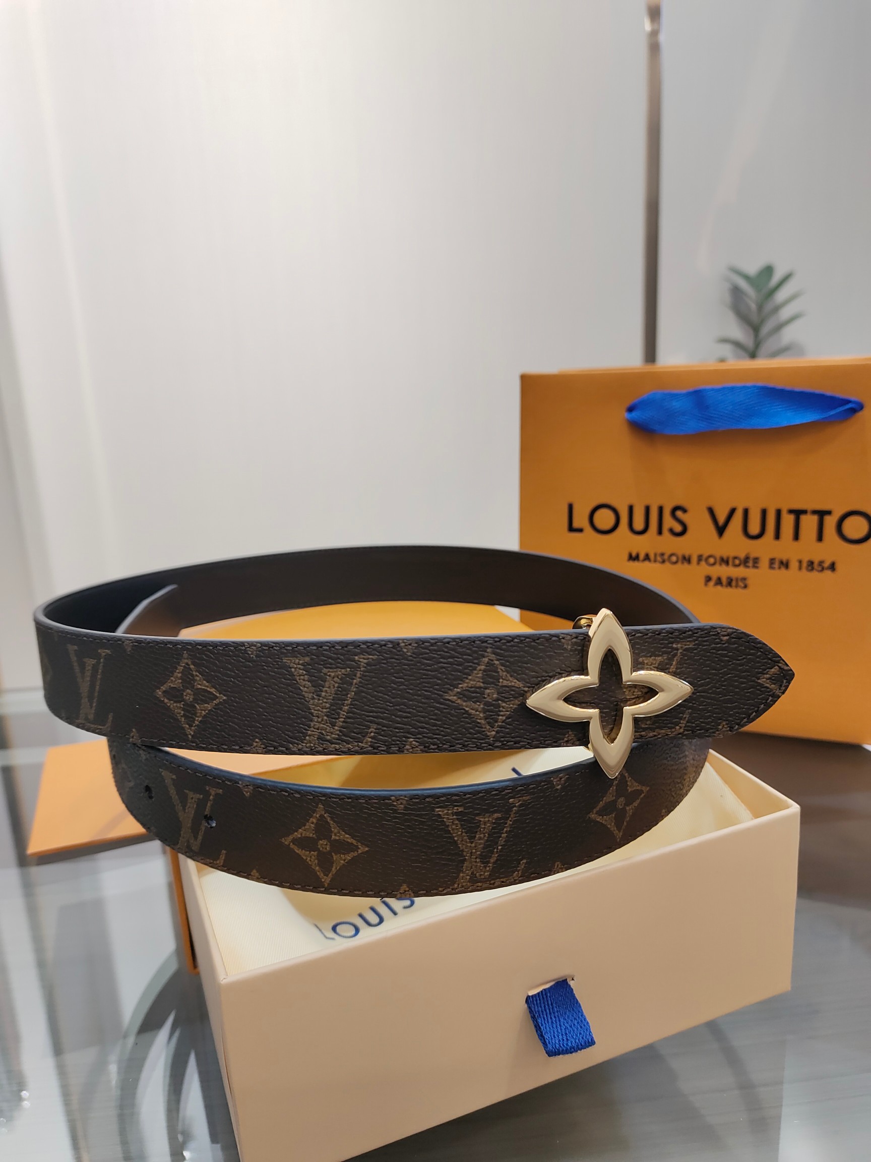 Louis Vuitton Female Basic Belt Cow Leather M-l