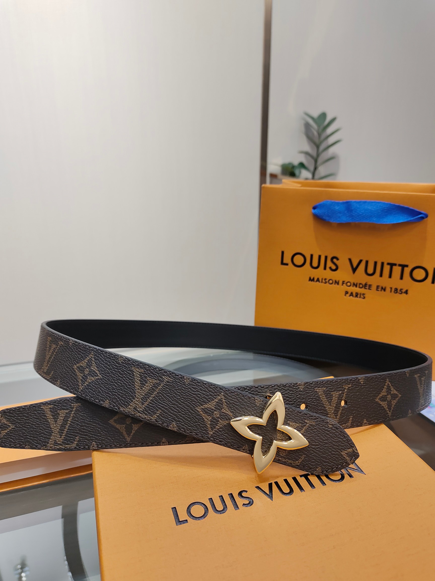 Louis Vuitton Female Basic Belt Cow Leather M-l