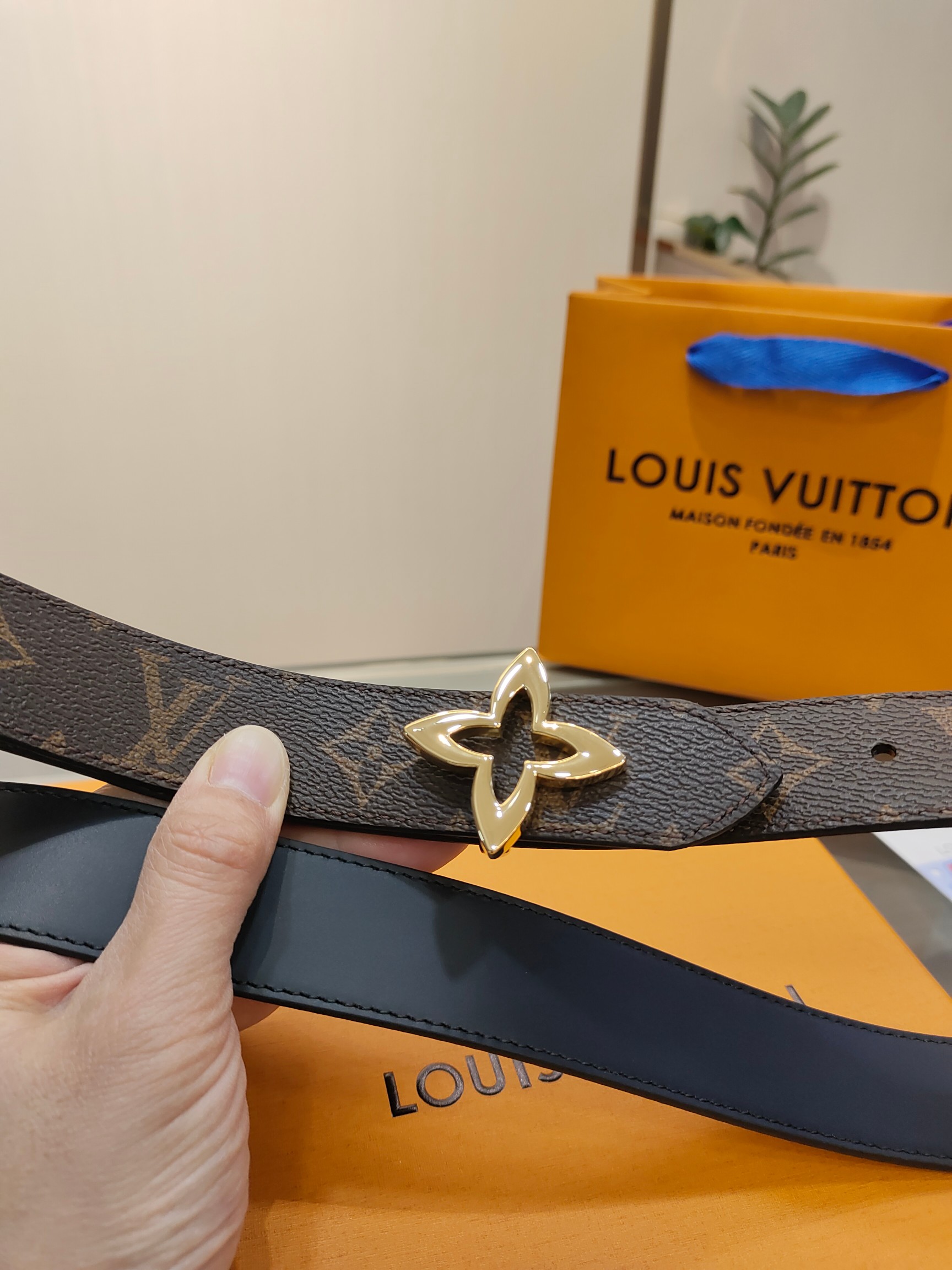 Louis Vuitton Female Basic Belt Cow Leather M-l