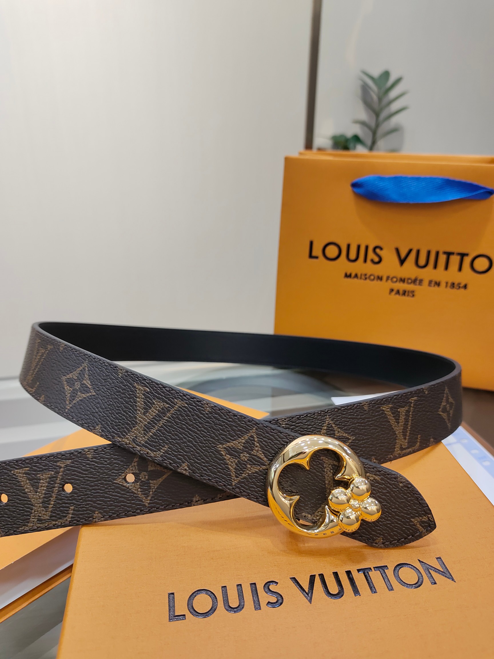 Louis Vuitton Female Basic Belt Cow Leather M-l