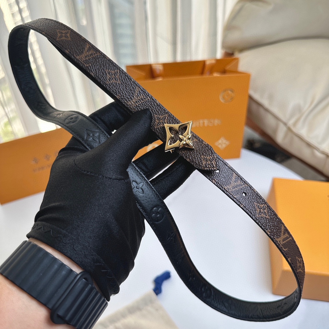 Louis Vuitton Female Basic Belt Canvas M
