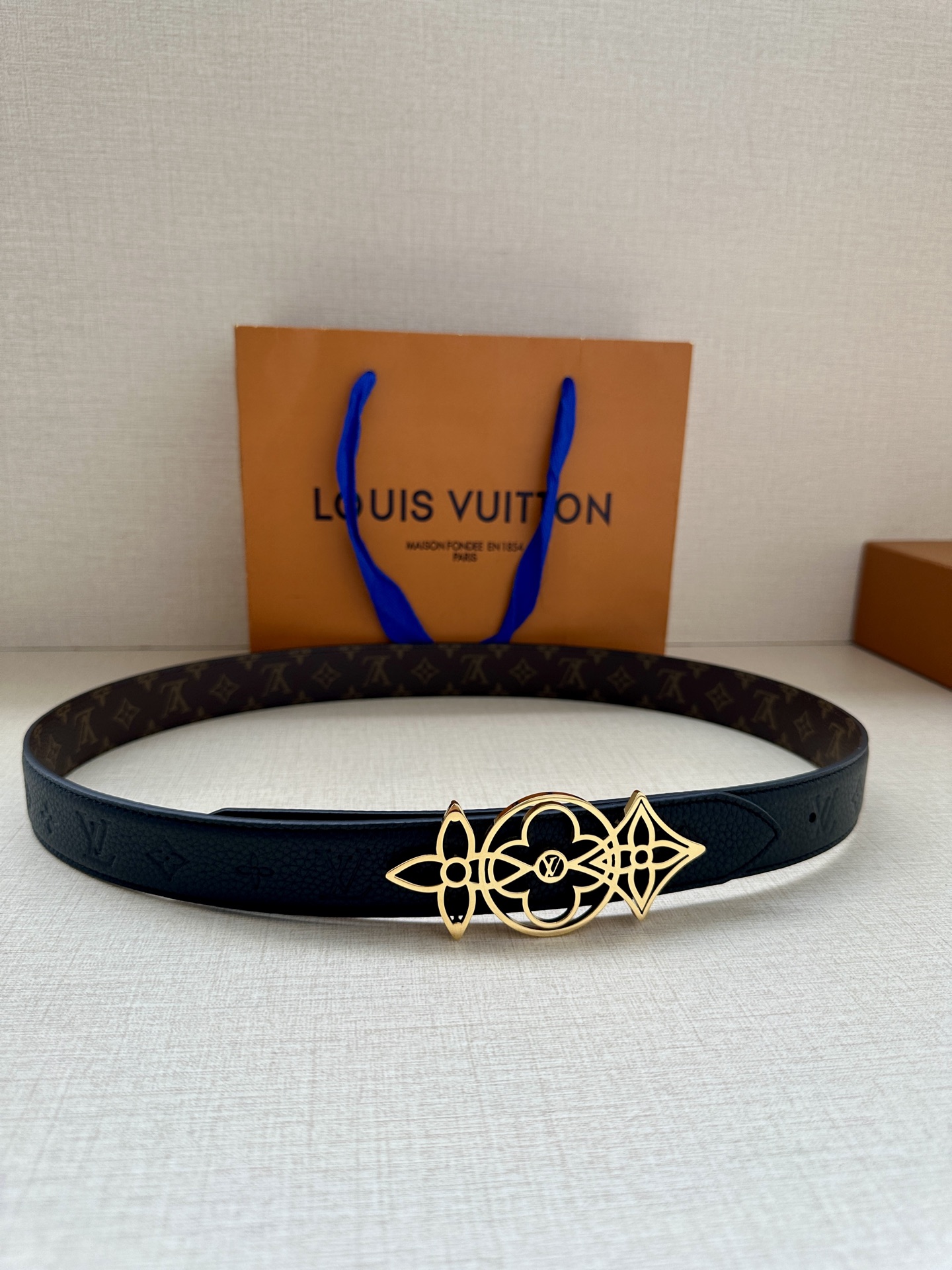 Louis Vuitton Female Basic Belt Canvas M-l