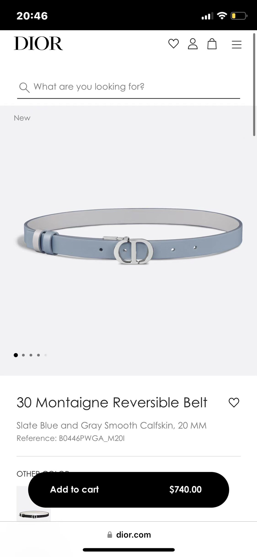 Dior Female Basic Belt M