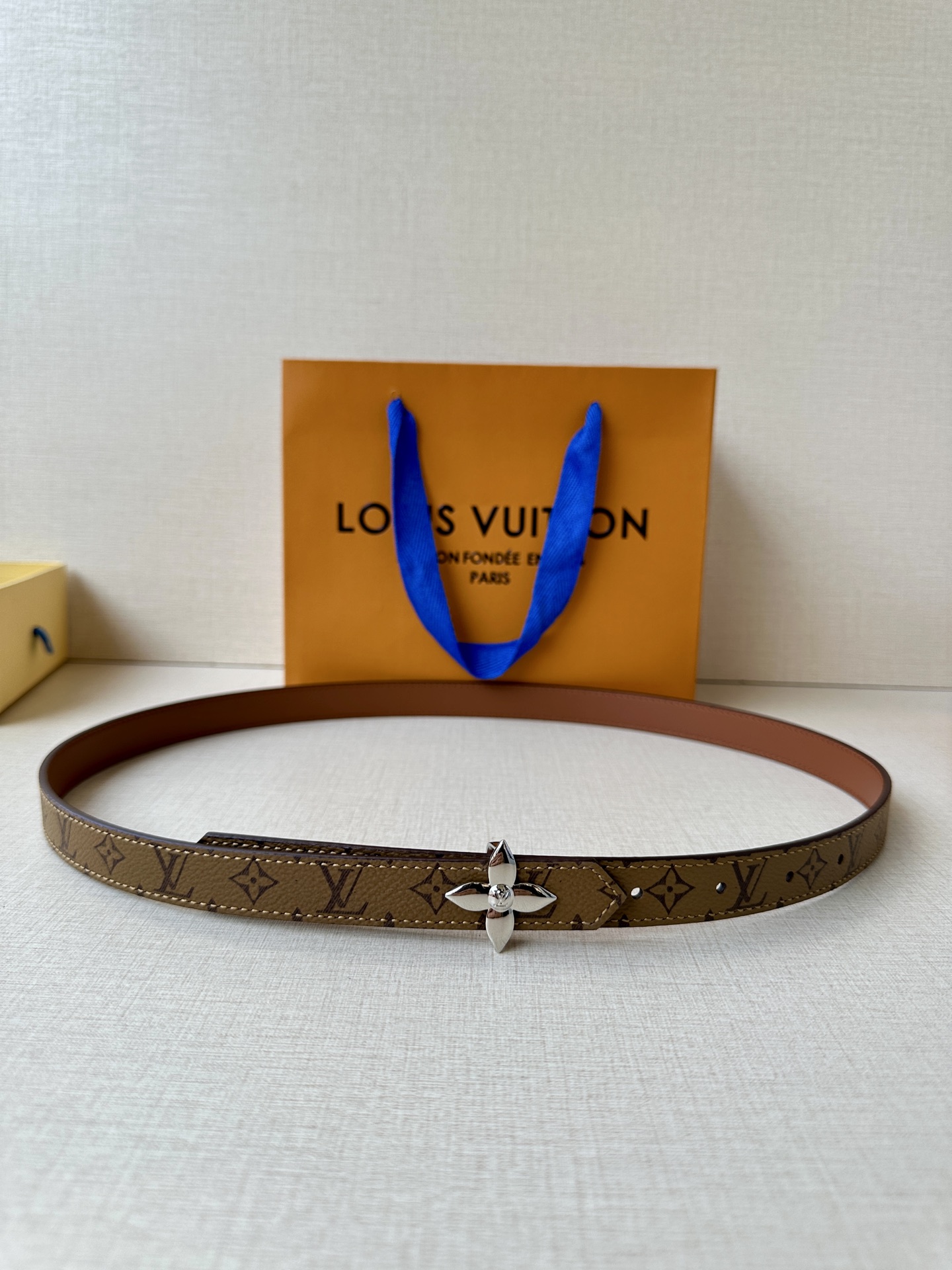 Louis Vuitton Female Basic Belt Canvas M-l