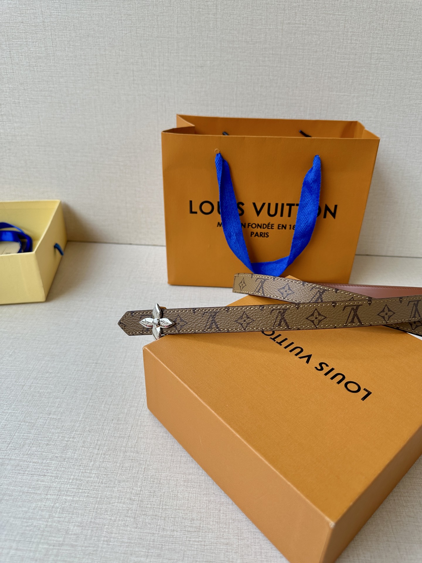 Louis Vuitton Female Basic Belt Canvas M-l