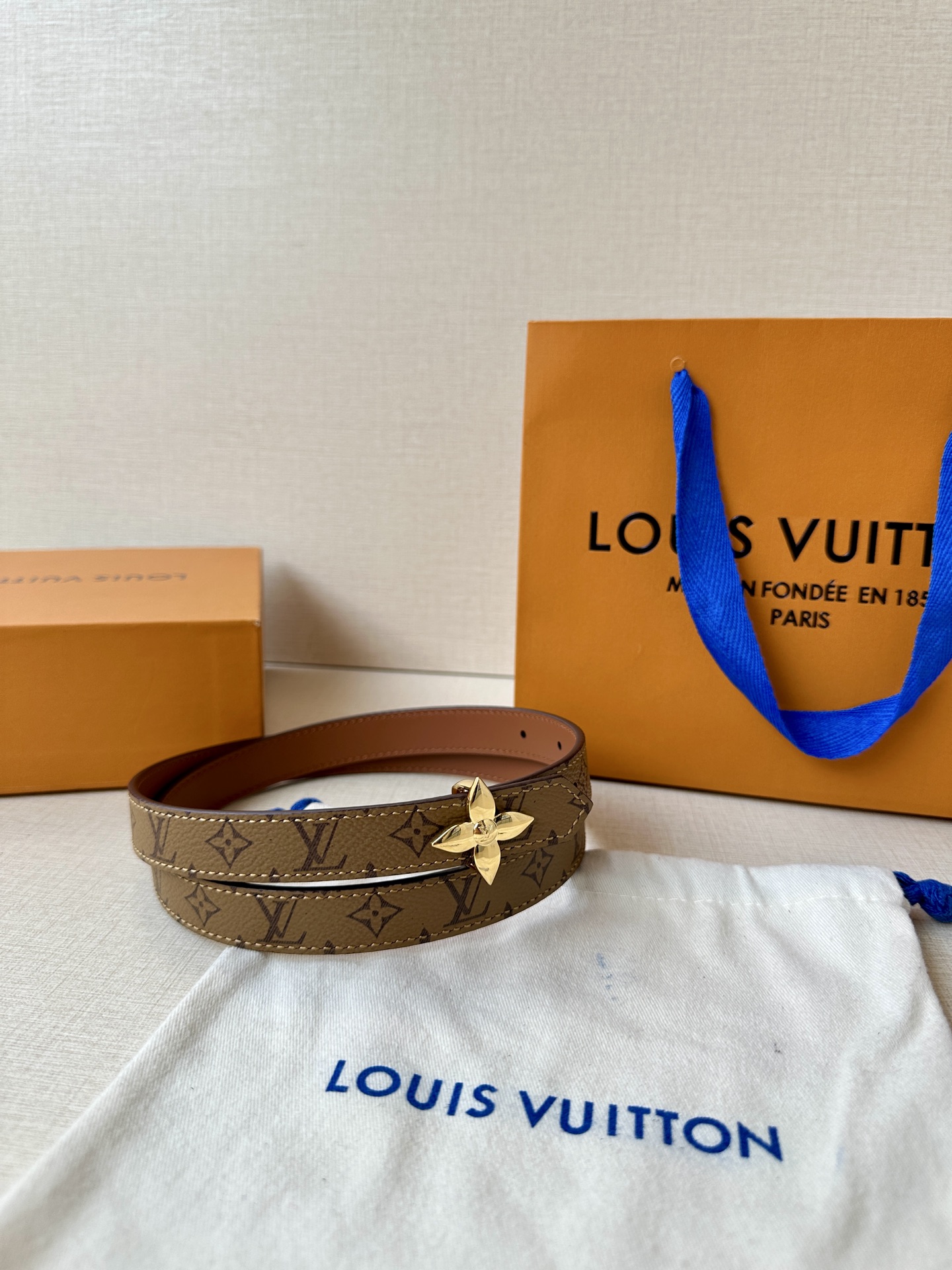 Louis Vuitton Female Basic Belt Canvas M-l