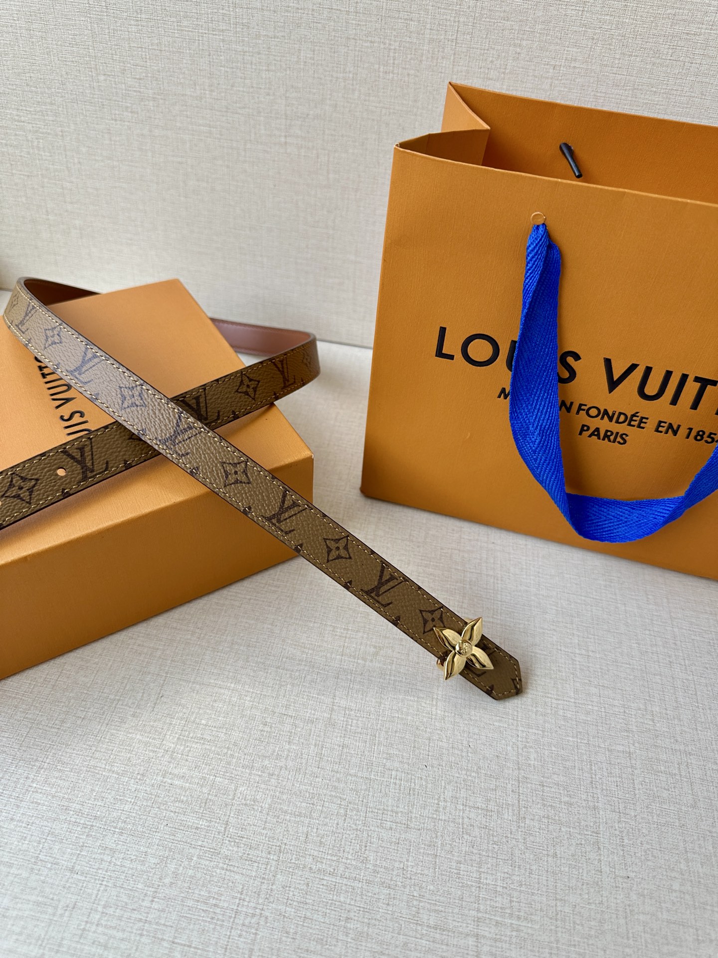 Louis Vuitton Female Basic Belt Canvas M-l