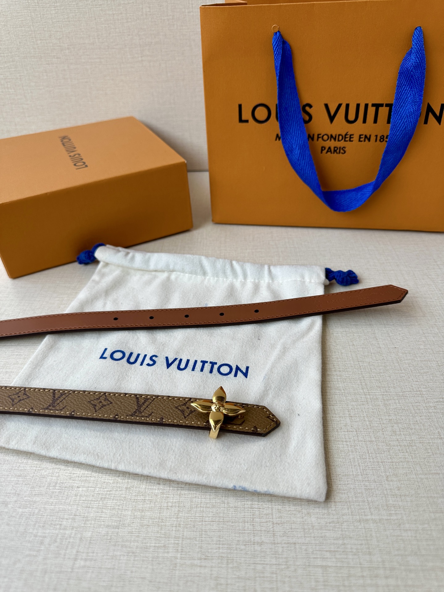 Louis Vuitton Female Basic Belt Canvas M-l