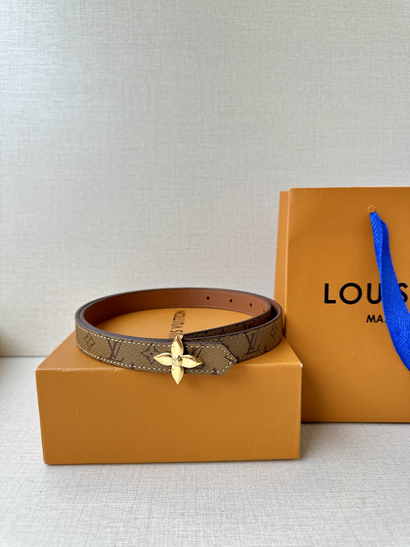 Louis Vuitton Female Basic Belt Canvas M-l