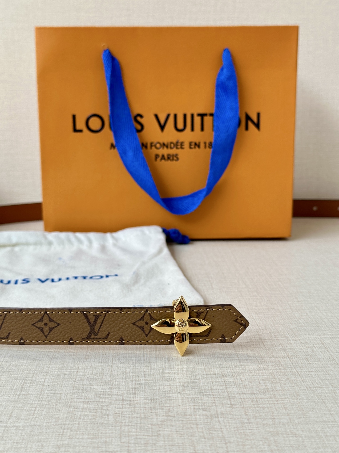 Louis Vuitton Female Basic Belt Canvas M-l
