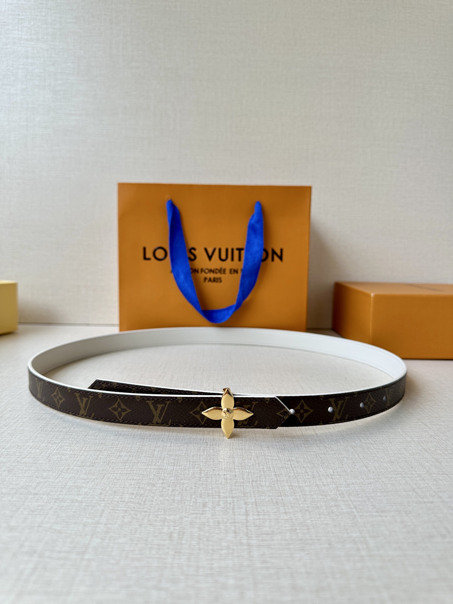 Louis Vuitton Female Basic Belt Canvas M-l