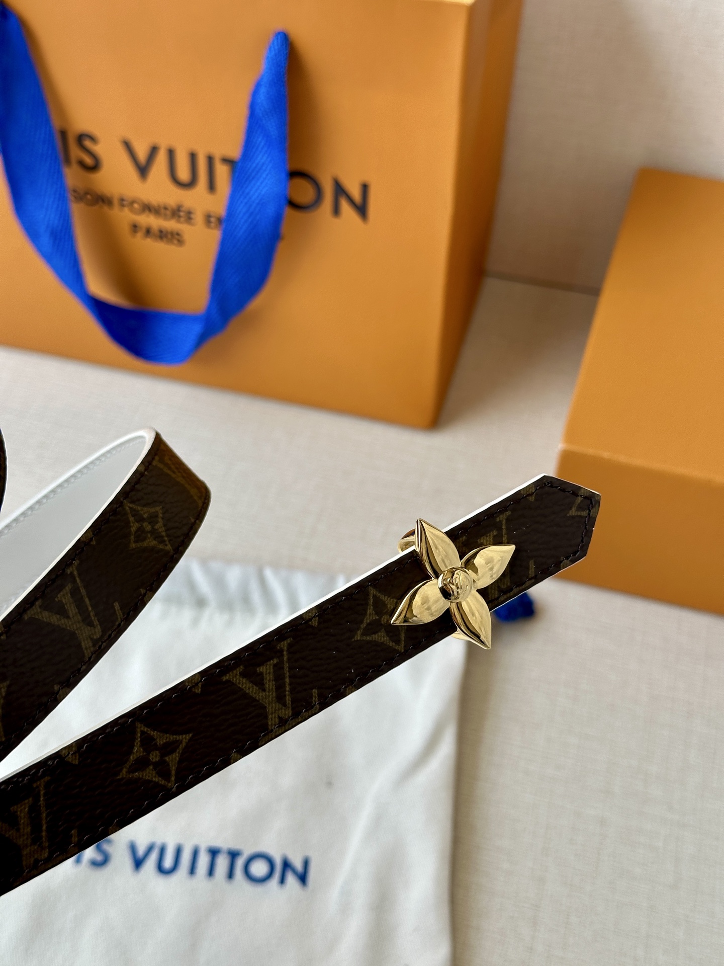 Louis Vuitton Female Basic Belt Canvas M-l