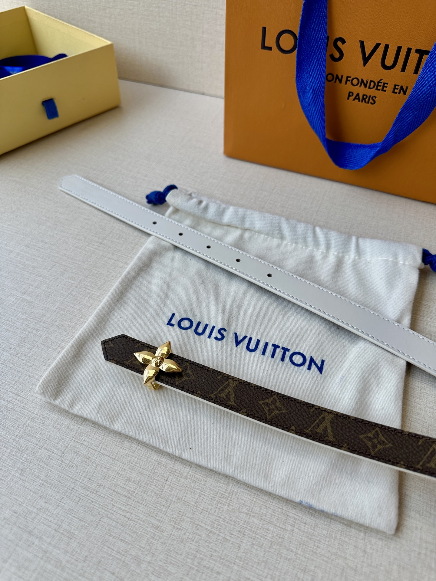 Louis Vuitton Female Basic Belt Canvas M-l