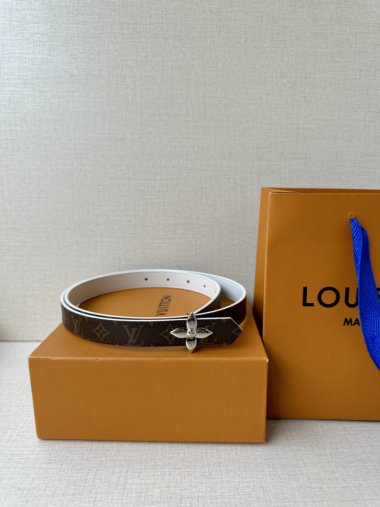 Louis Vuitton Female Basic Belt Canvas M-l