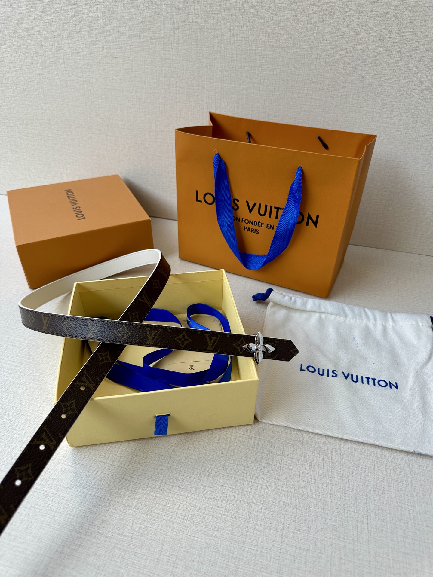 Louis Vuitton Female Basic Belt Canvas M-l