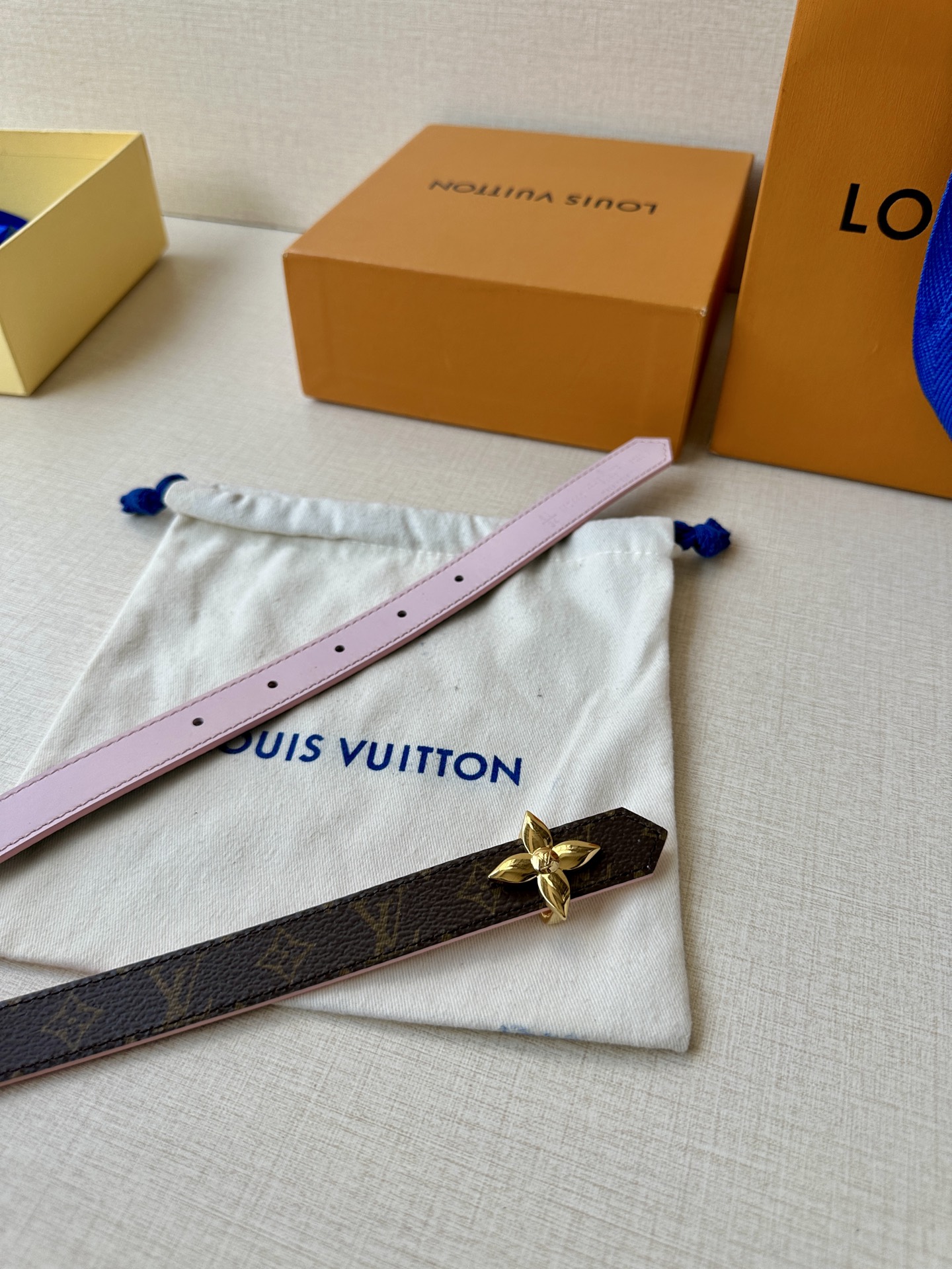 Louis Vuitton Female Basic Belt Canvas M-l