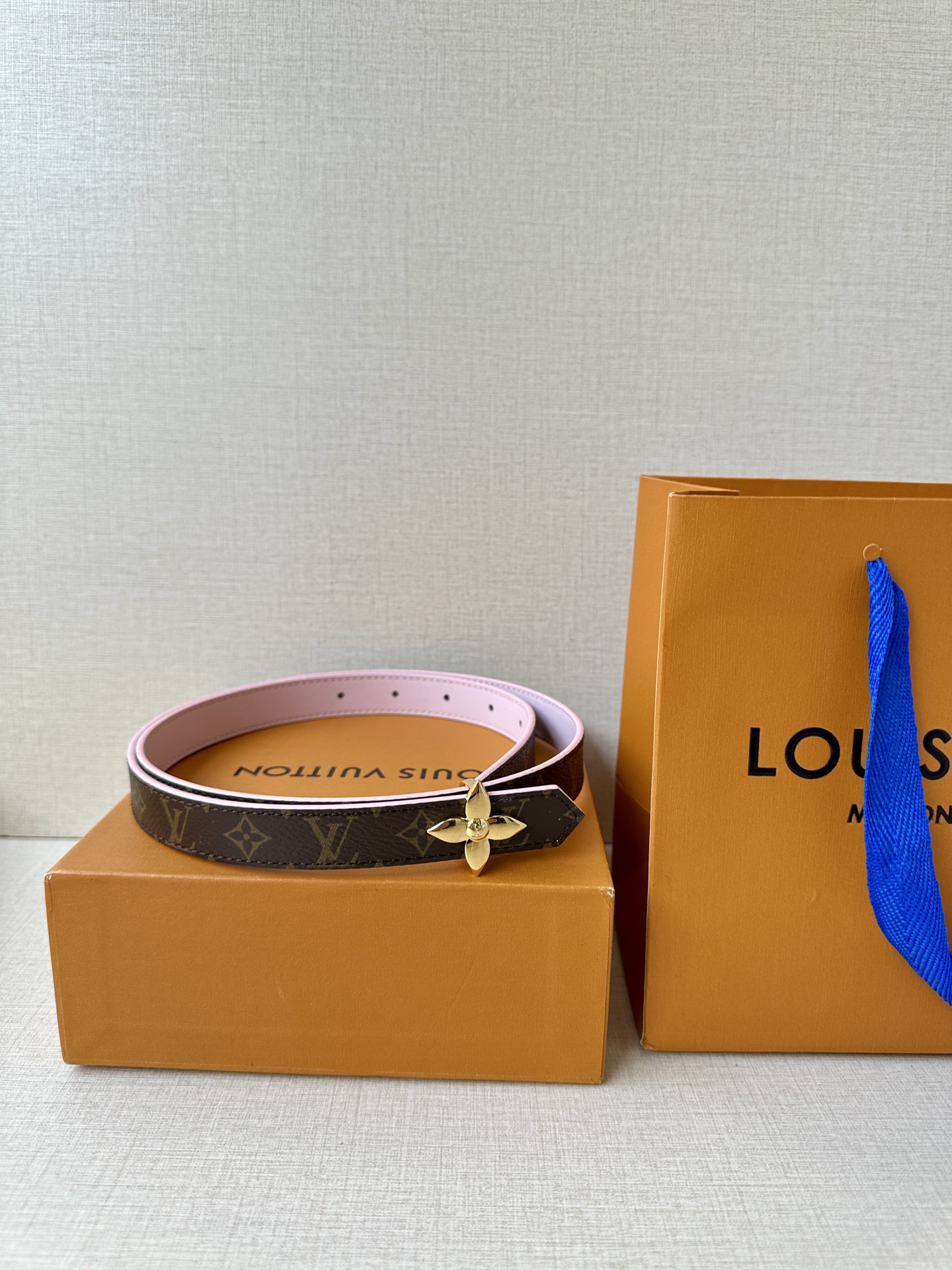 Louis Vuitton Female Basic Belt Canvas M-l