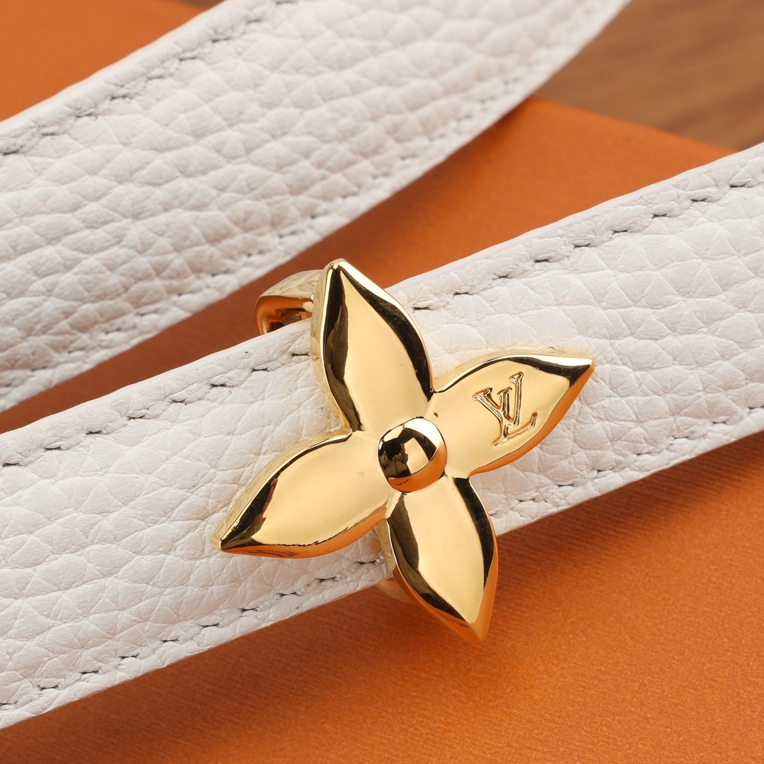 Louis Vuitton Female Basic Belt Canvas S-m-l