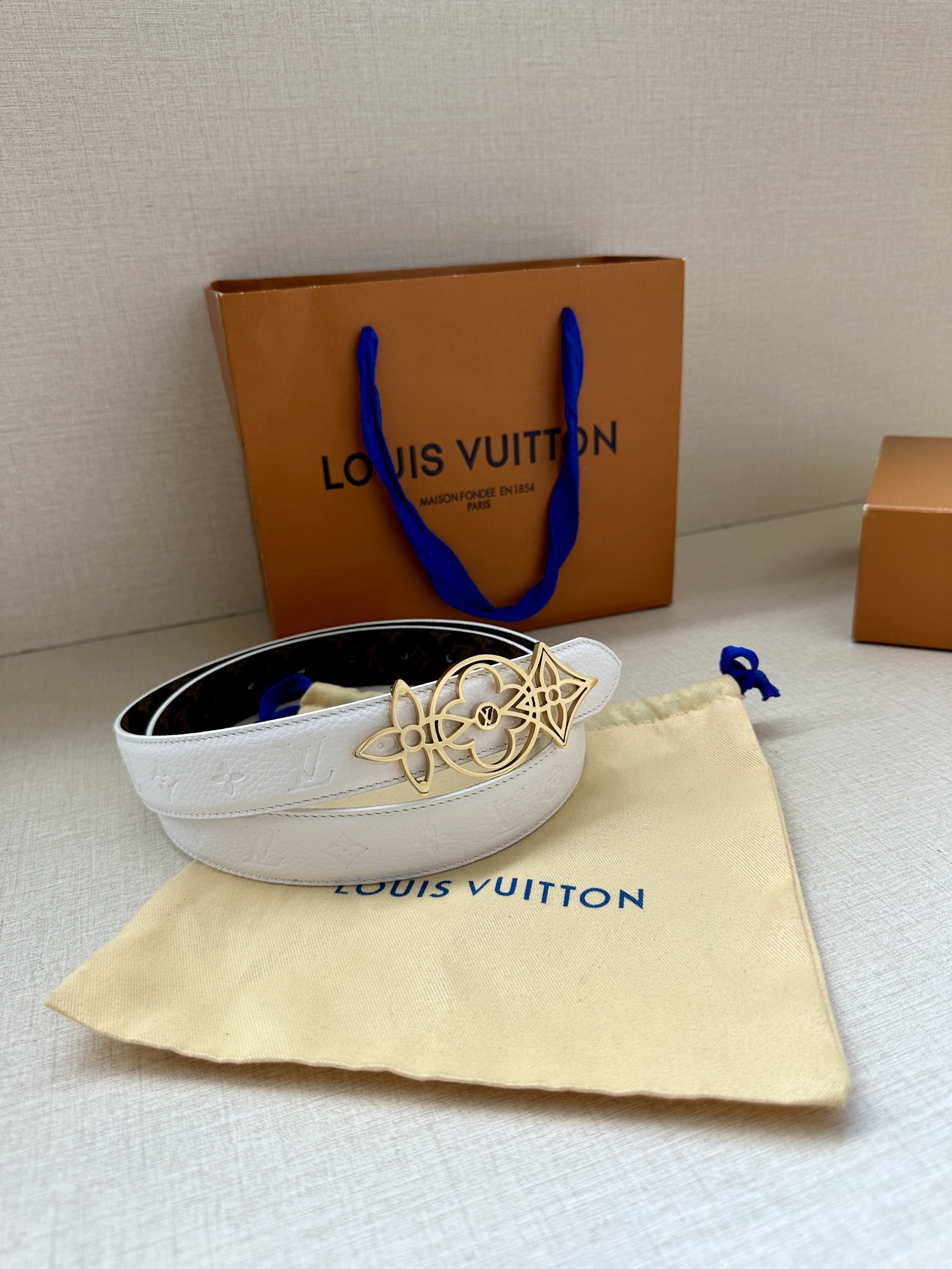 Louis Vuitton Female Basic Belt Canvas M-l