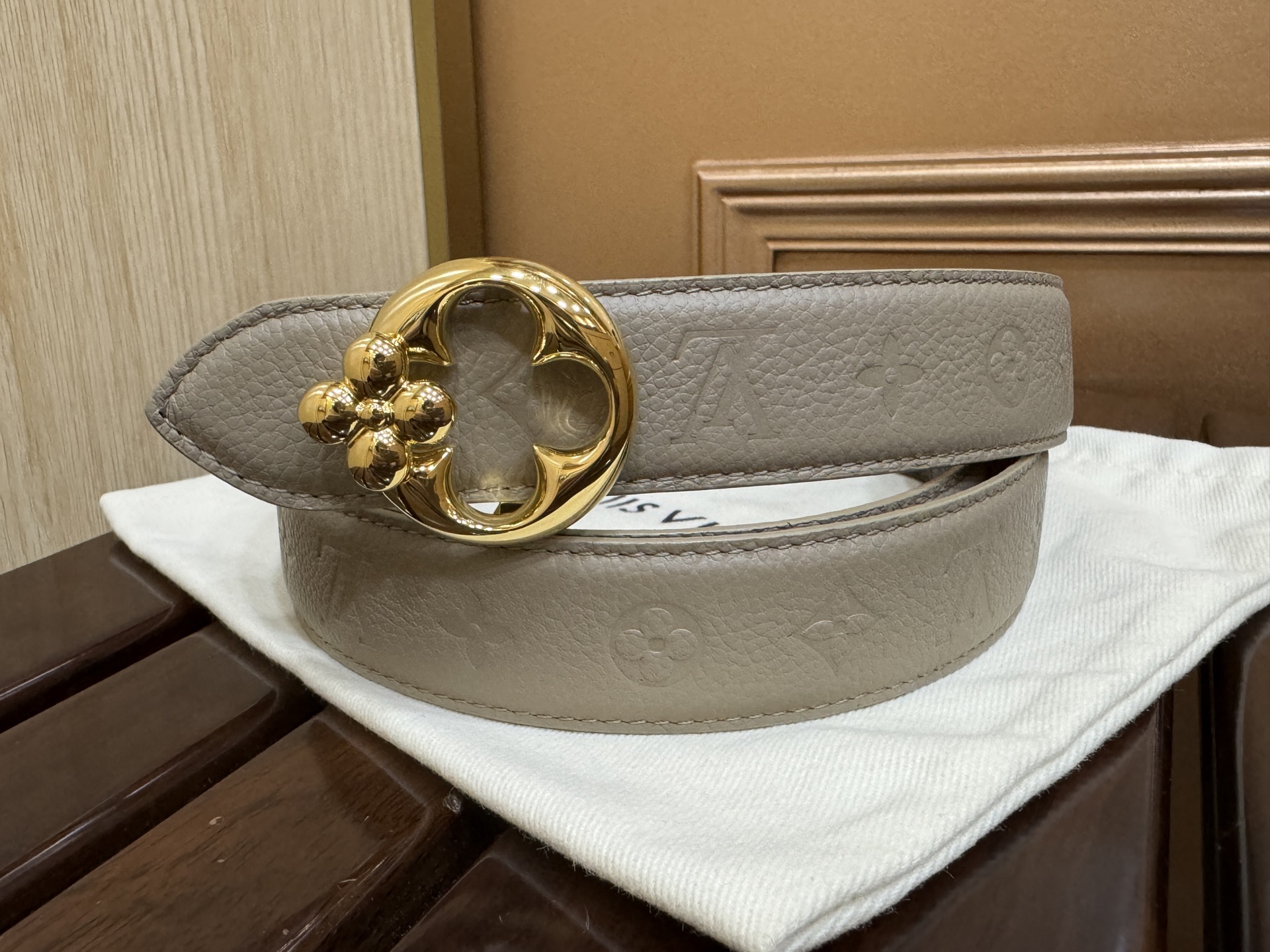 Louis Vuitton Female Basic Belt Canvas M-l