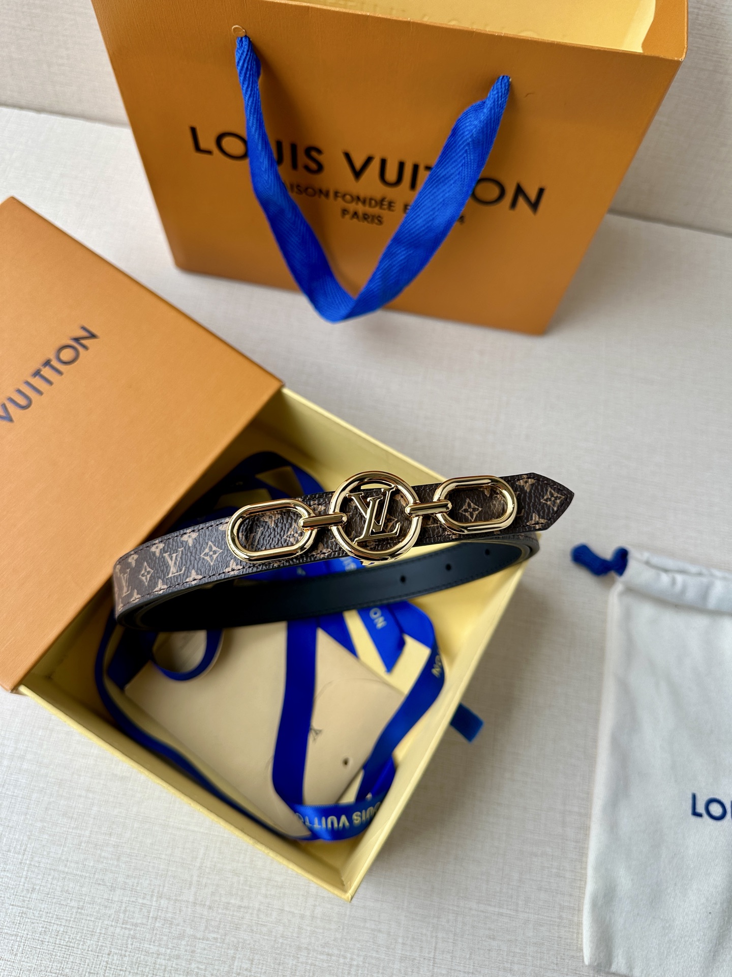 Louis Vuitton Female Basic Belt Canvas M-l