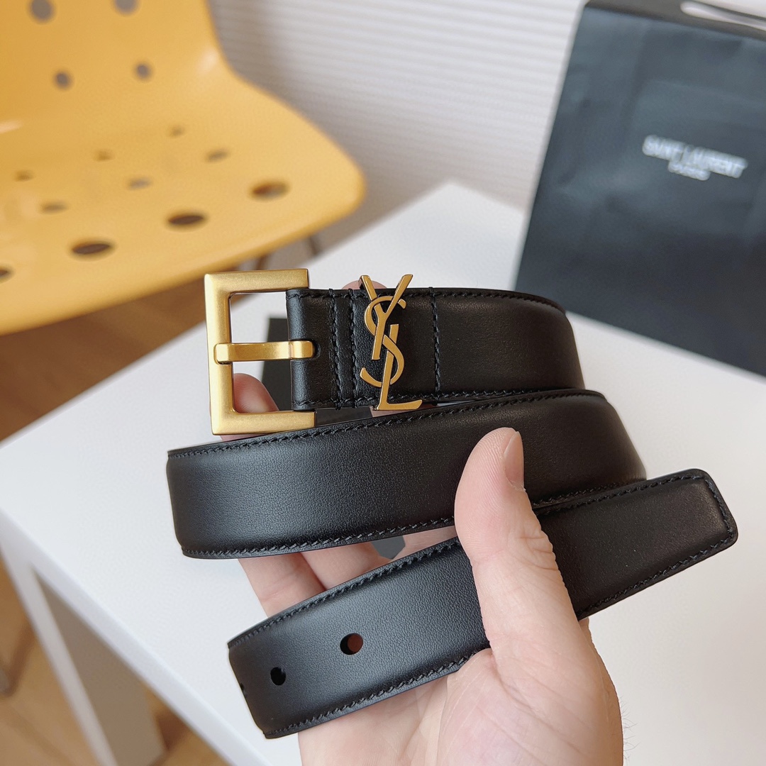 Saint Laurent Female Basic Belt Cow Leather S-m
