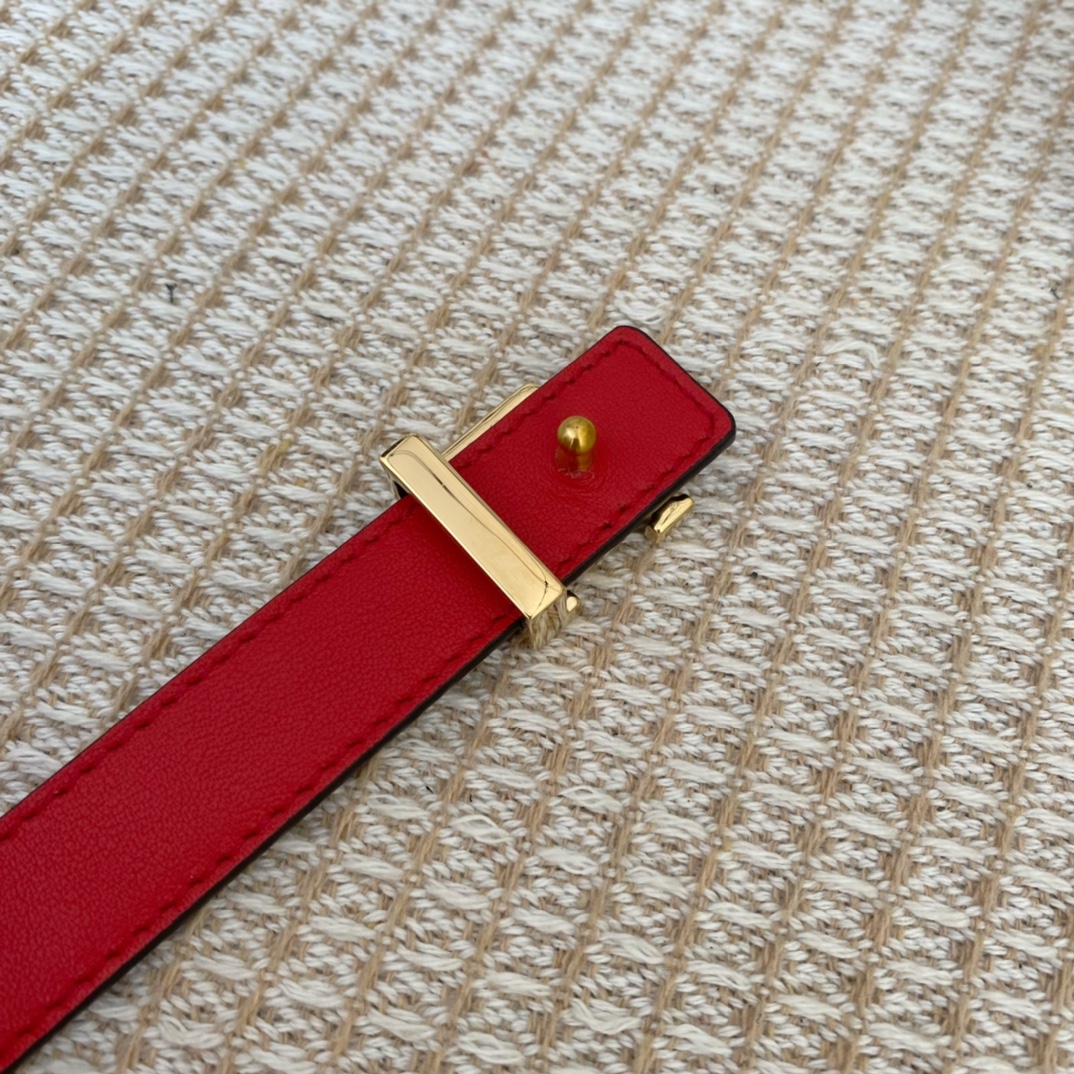 Louis Vuitton Female Basic Belt Cow Leather S-m