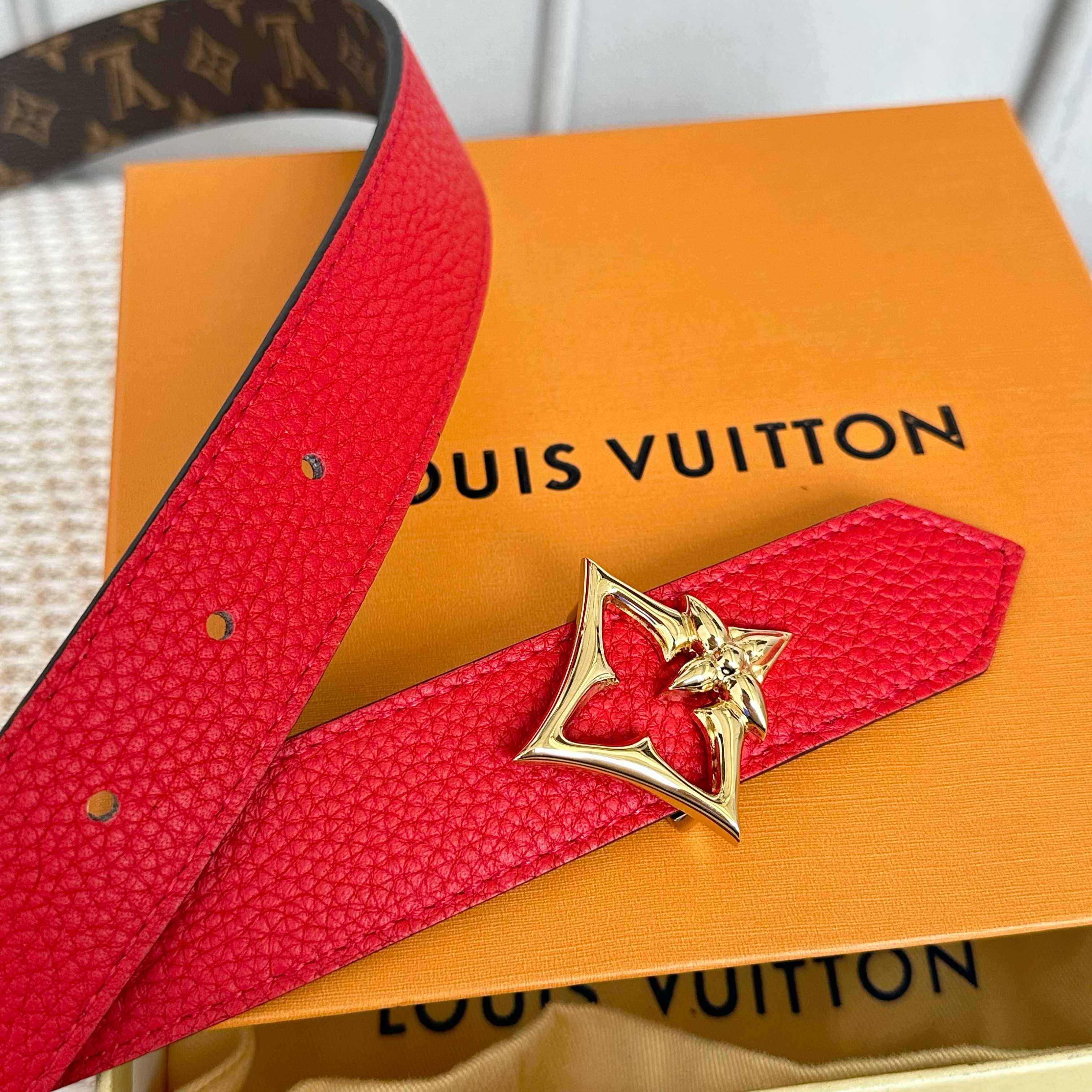 Louis Vuitton Female Basic Belt Cow Leather S-l