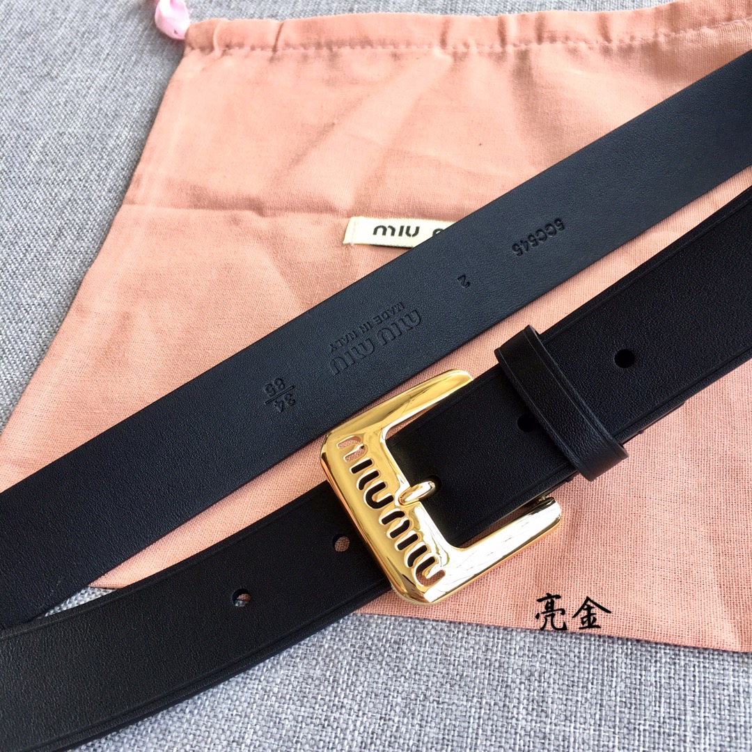 Miu Miu Female Basic Belt M