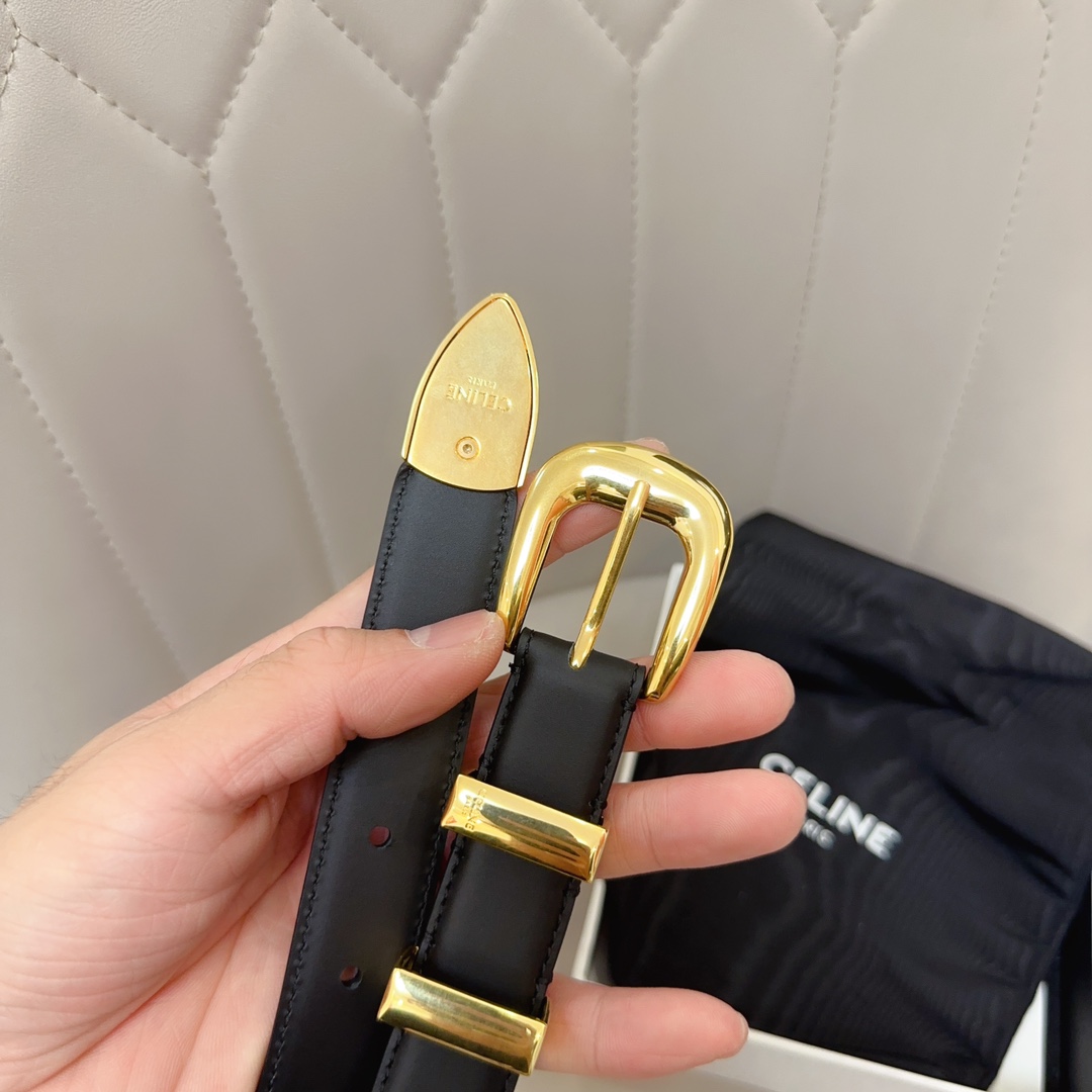 Celine Female Basic Belt Cow Leather S-l