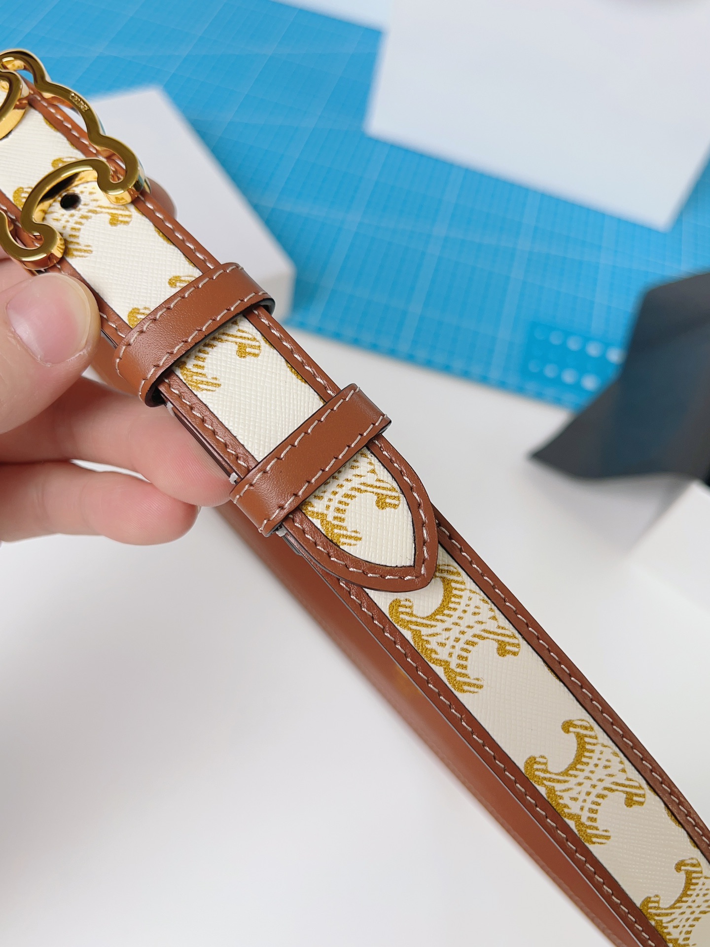 Celine Female Basic Belt Cow Leather M-l