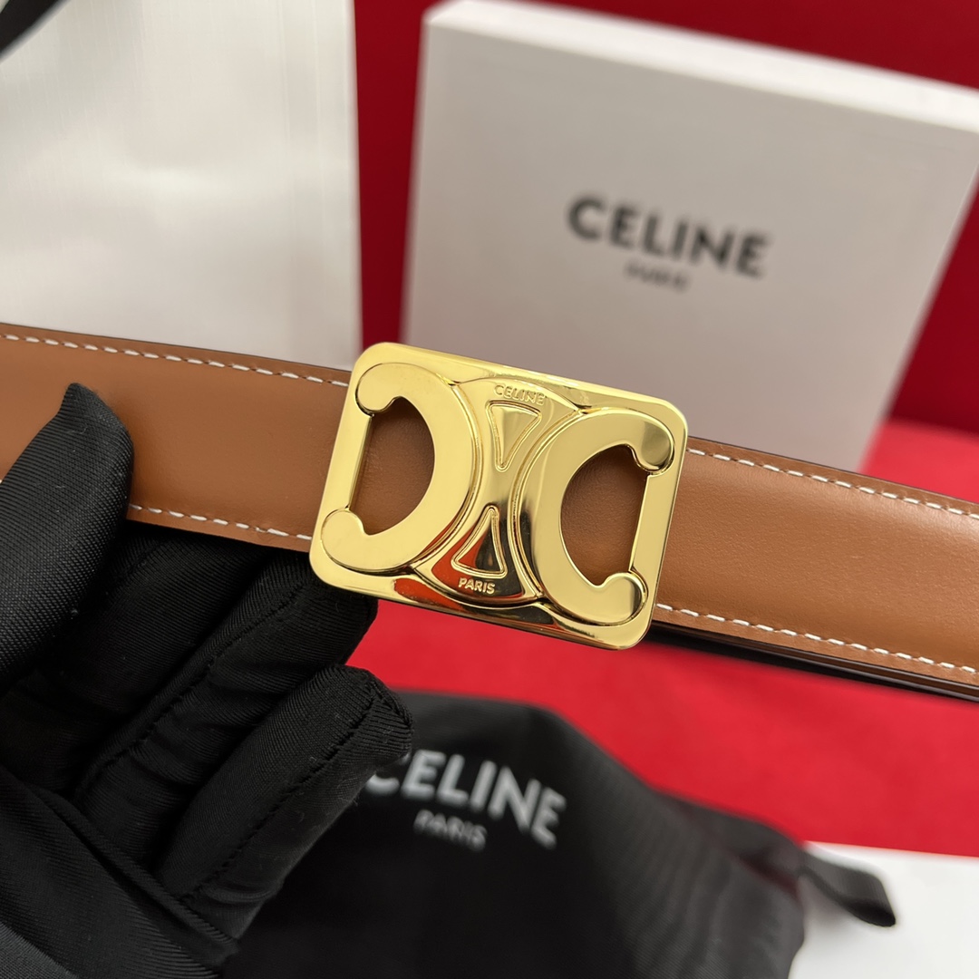 Celine Female Basic Belt Cow Leather M-l