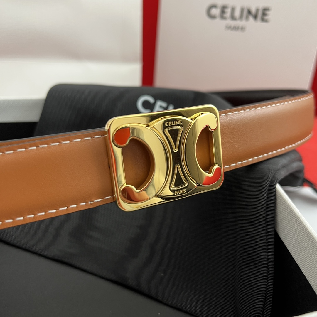 Celine Female Basic Belt Cow Leather M-l