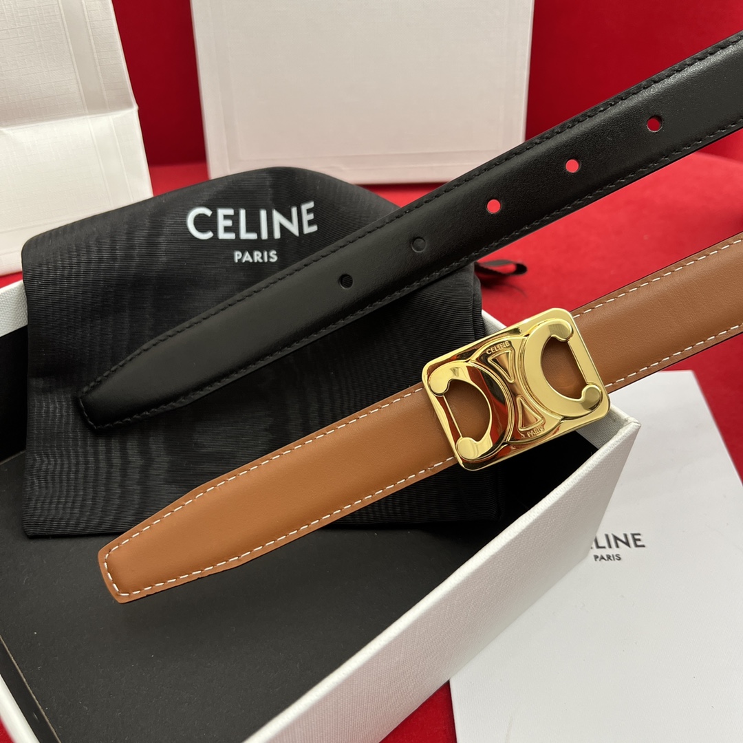 Celine Female Basic Belt Cow Leather M-l