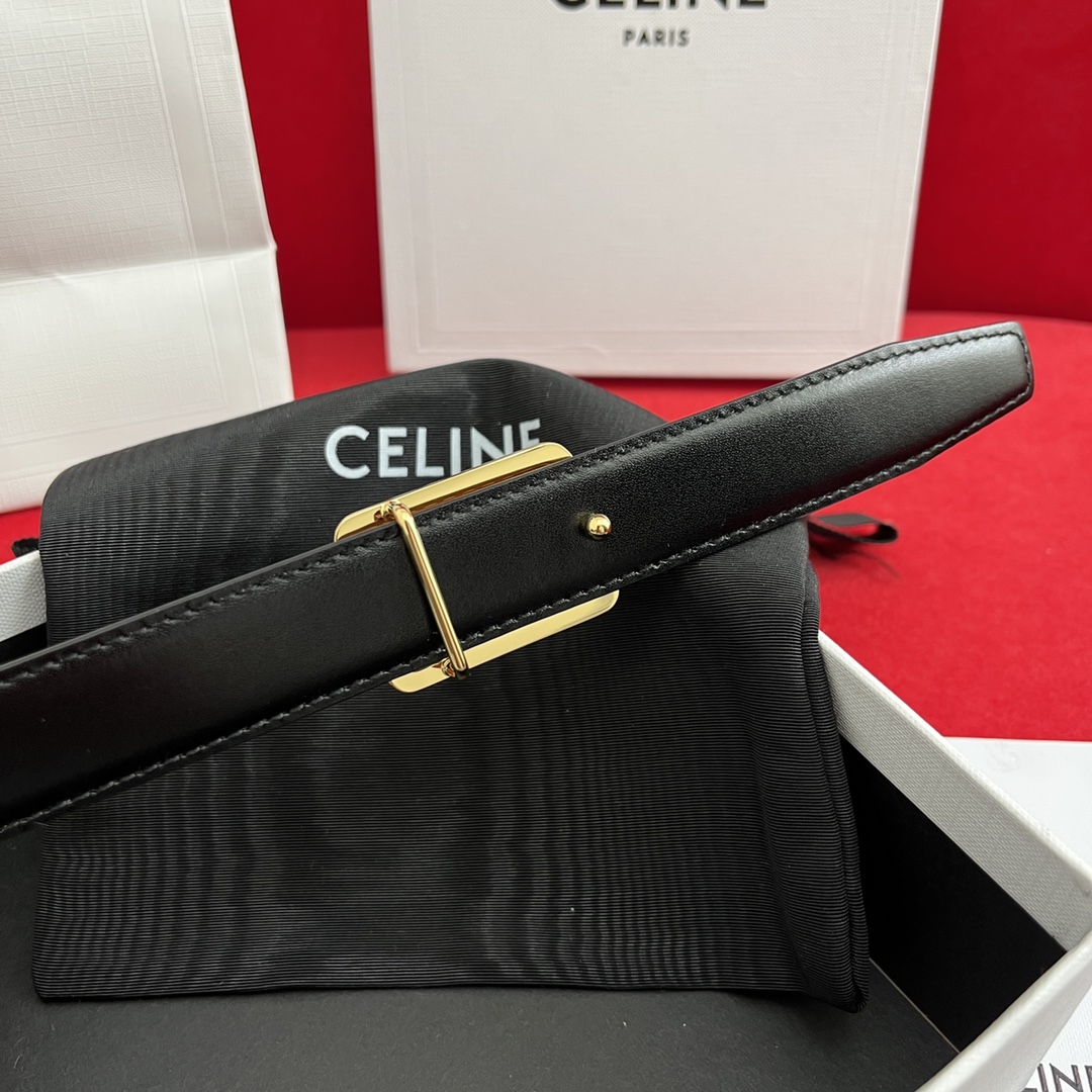 Celine Female Basic Belt Cow Leather M-l