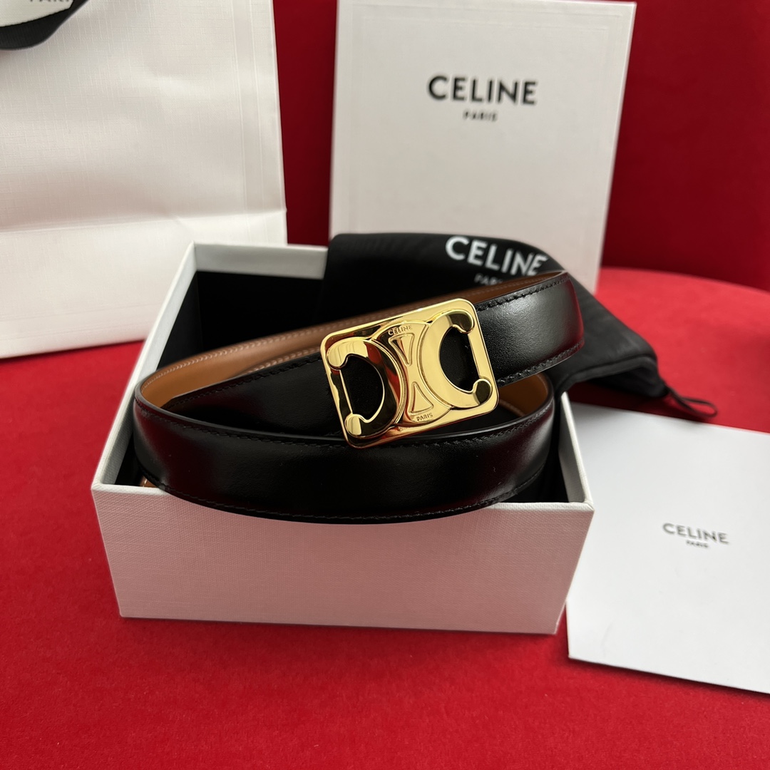 Celine Female Basic Belt Cow Leather M-l