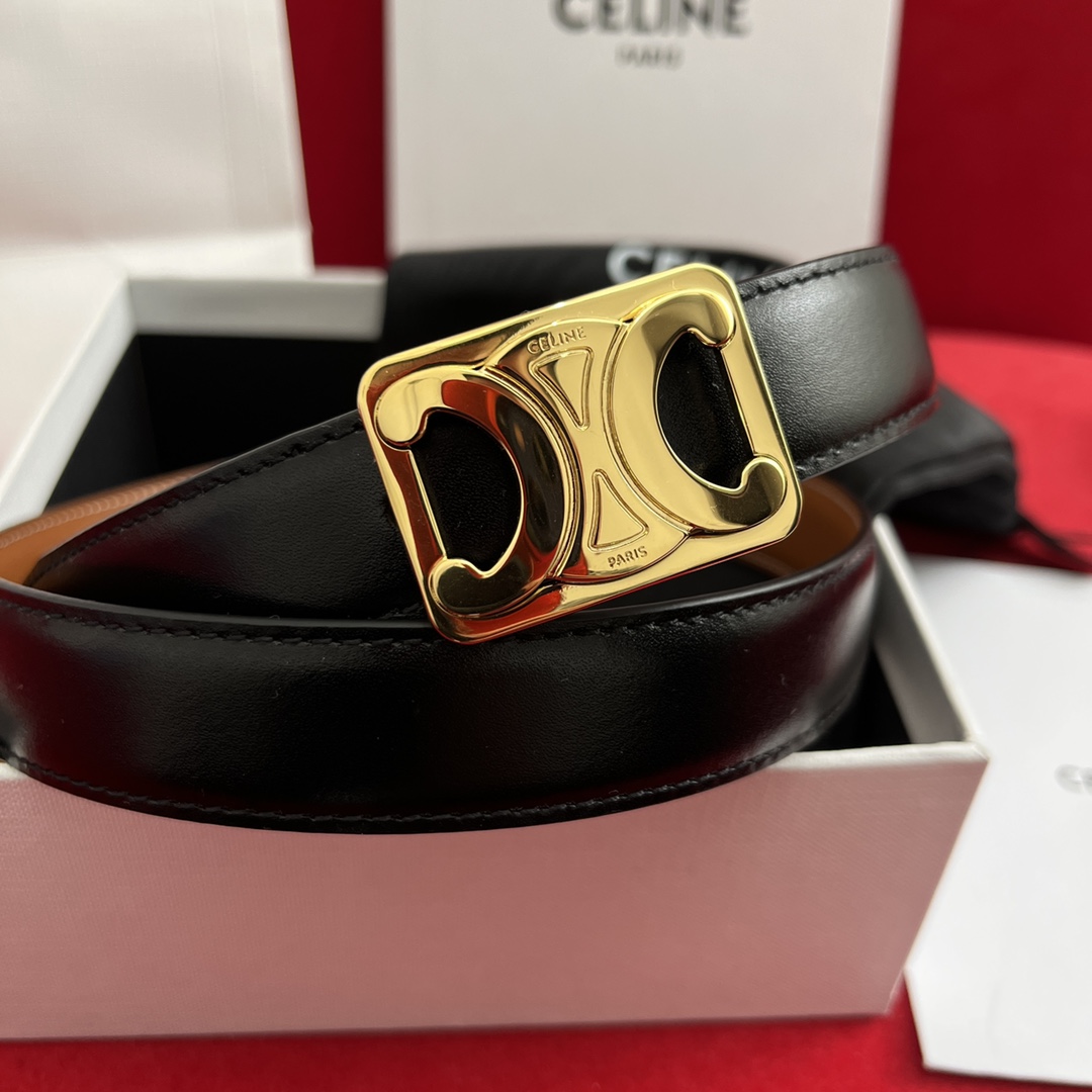 Celine Female Basic Belt Cow Leather M-l