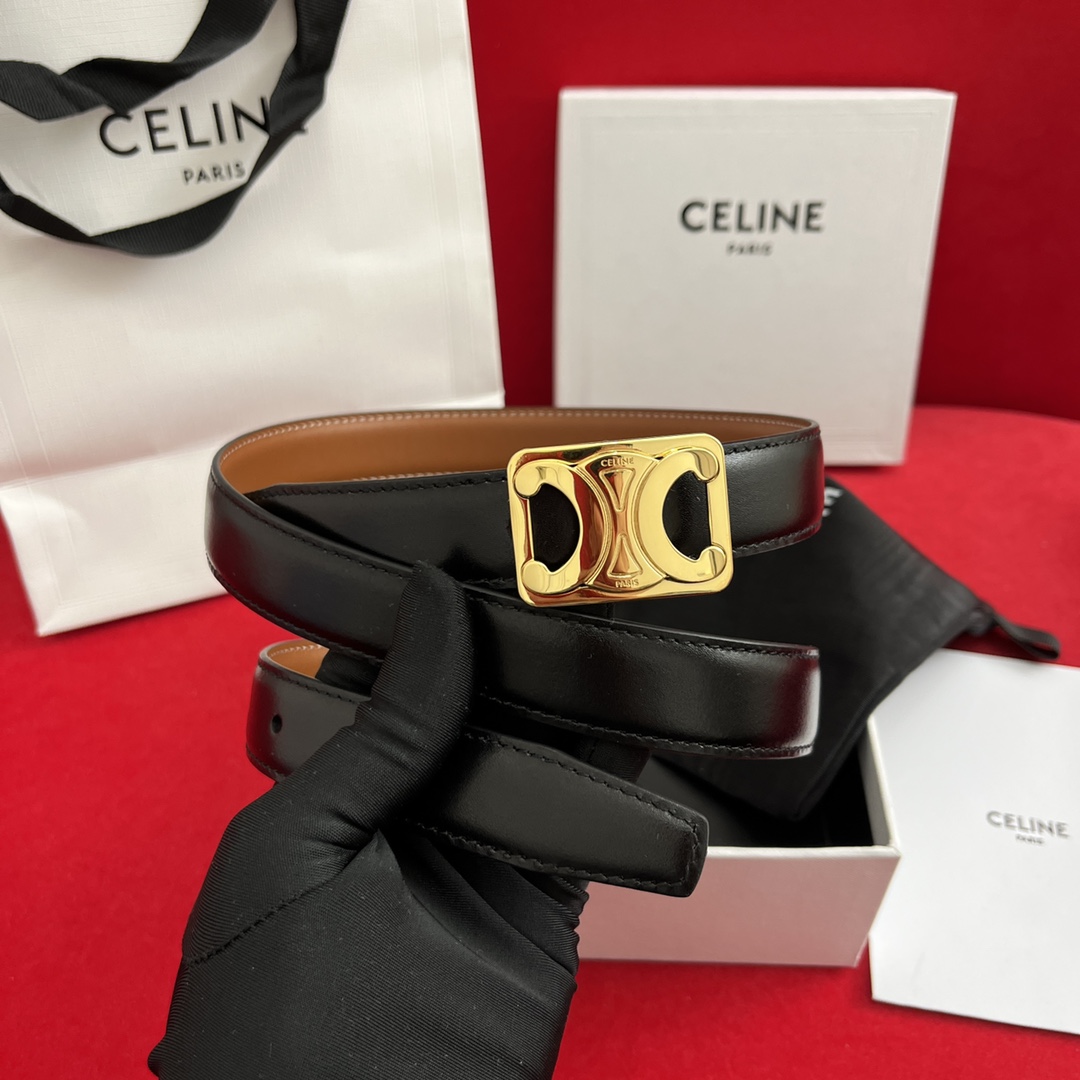Celine Female Basic Belt Cow Leather M-l