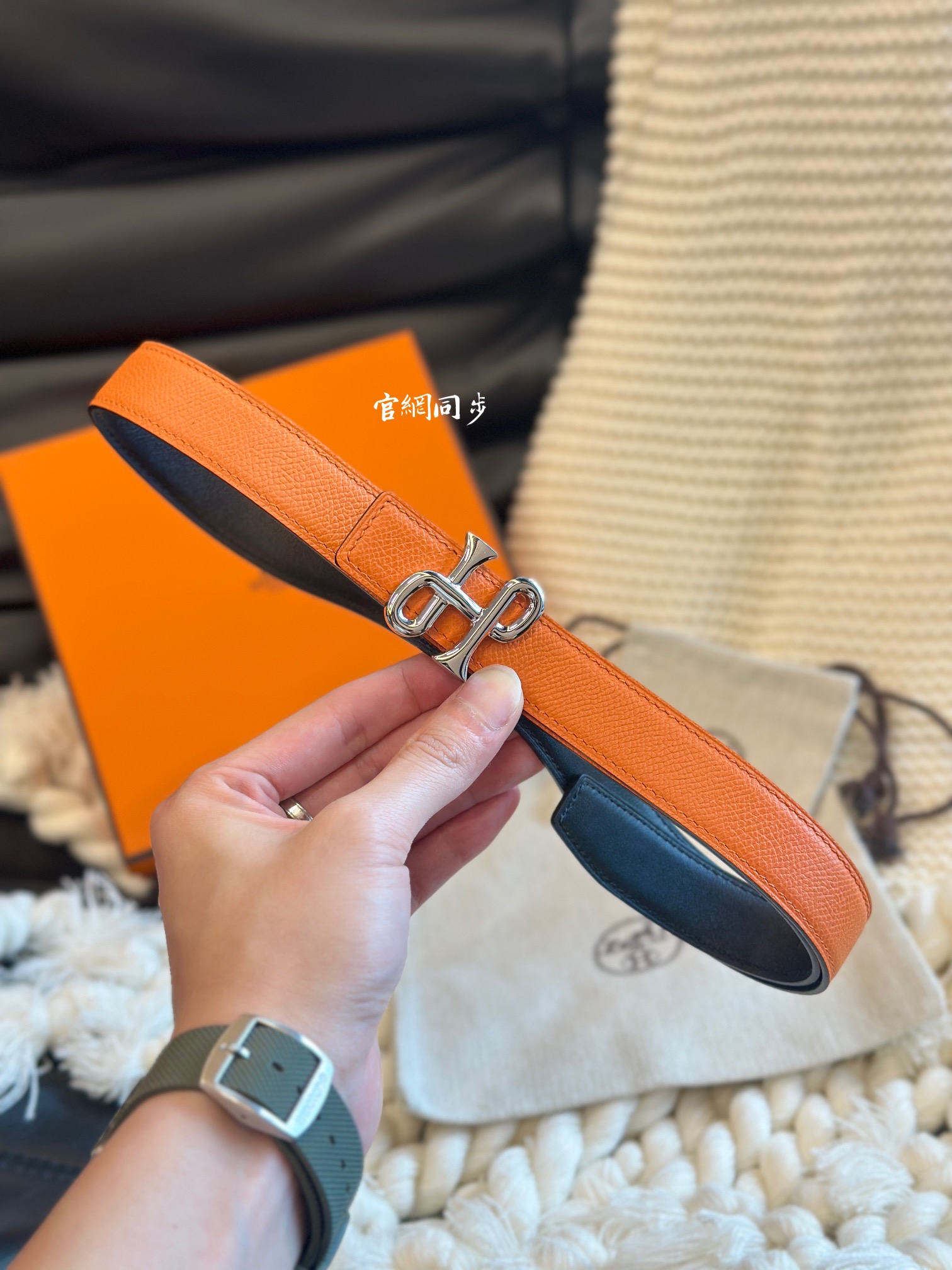 Female Basic Belt 24mm-s-l