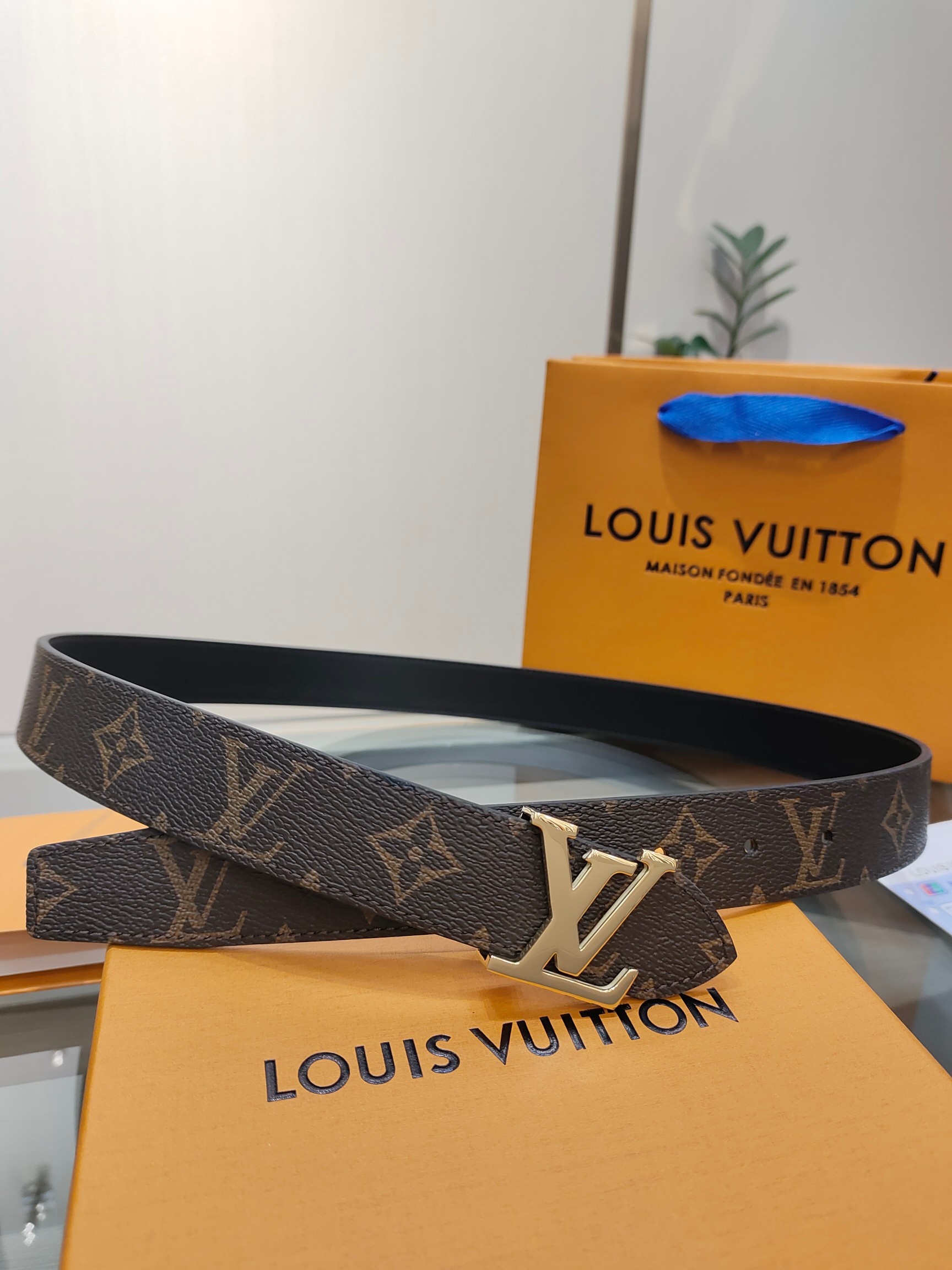Louis Vuitton Female Basic Belt Cow Leather M-l