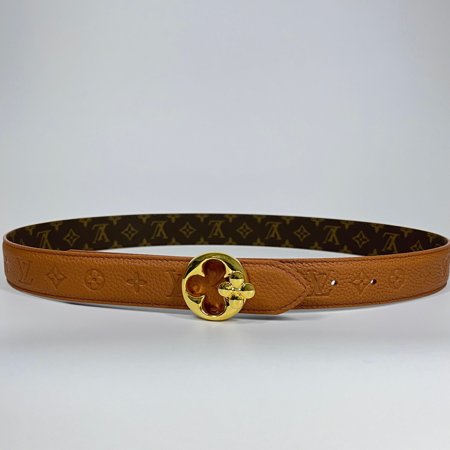 Louis Vuitton Female Basic Belt Canvas M-l